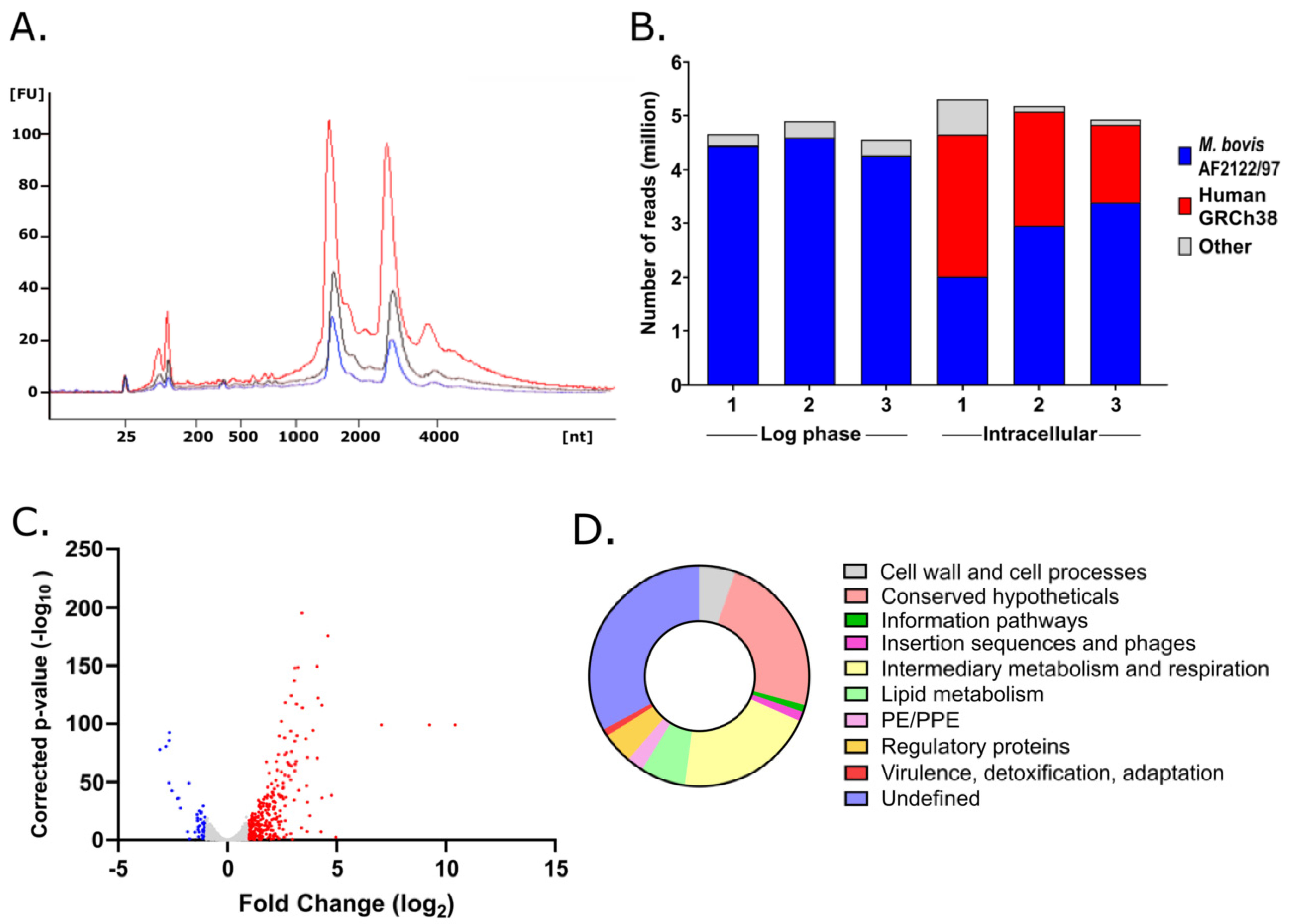 Vaccines 10 00113 g001