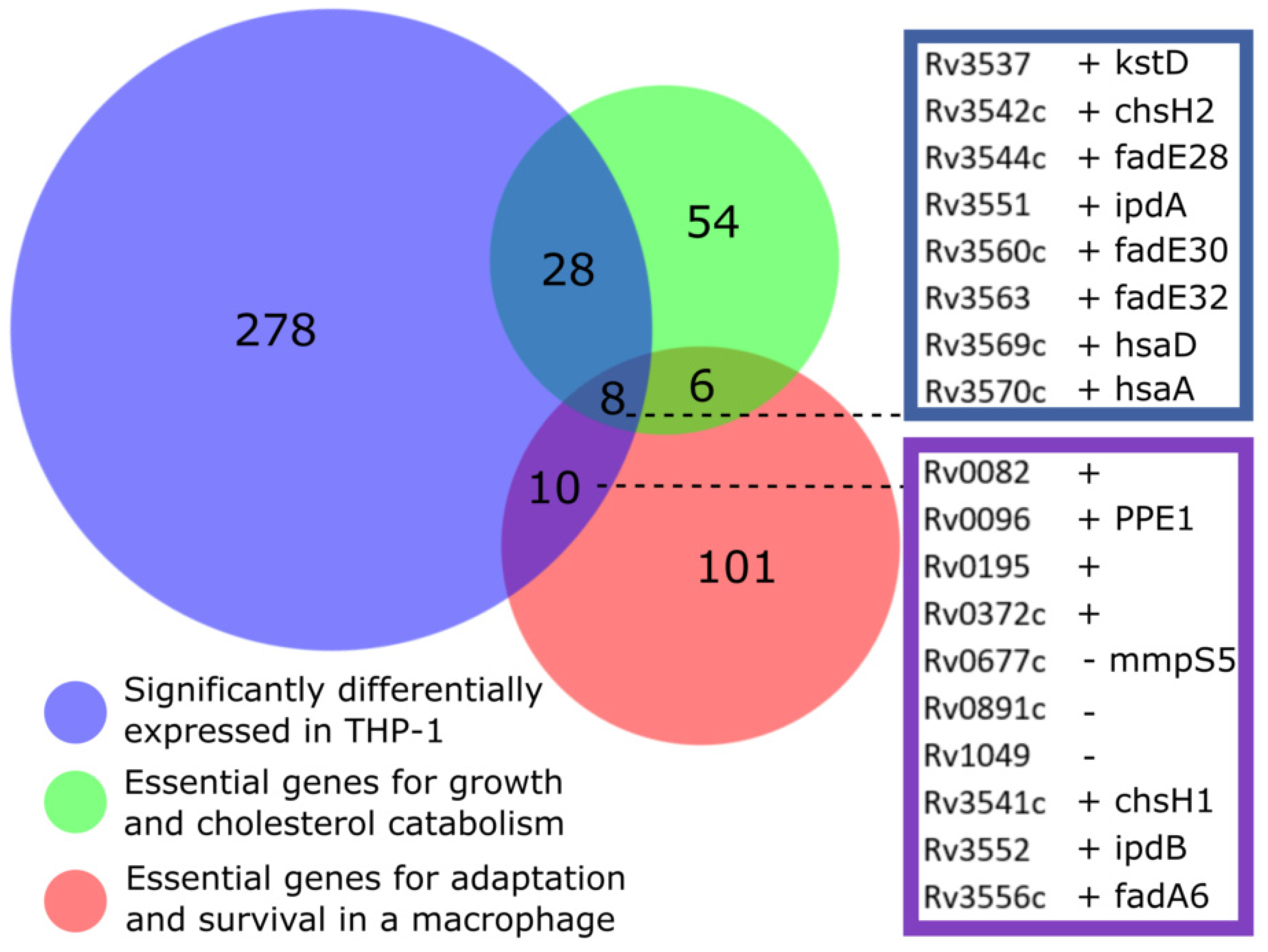 Vaccines 10 00113 g005