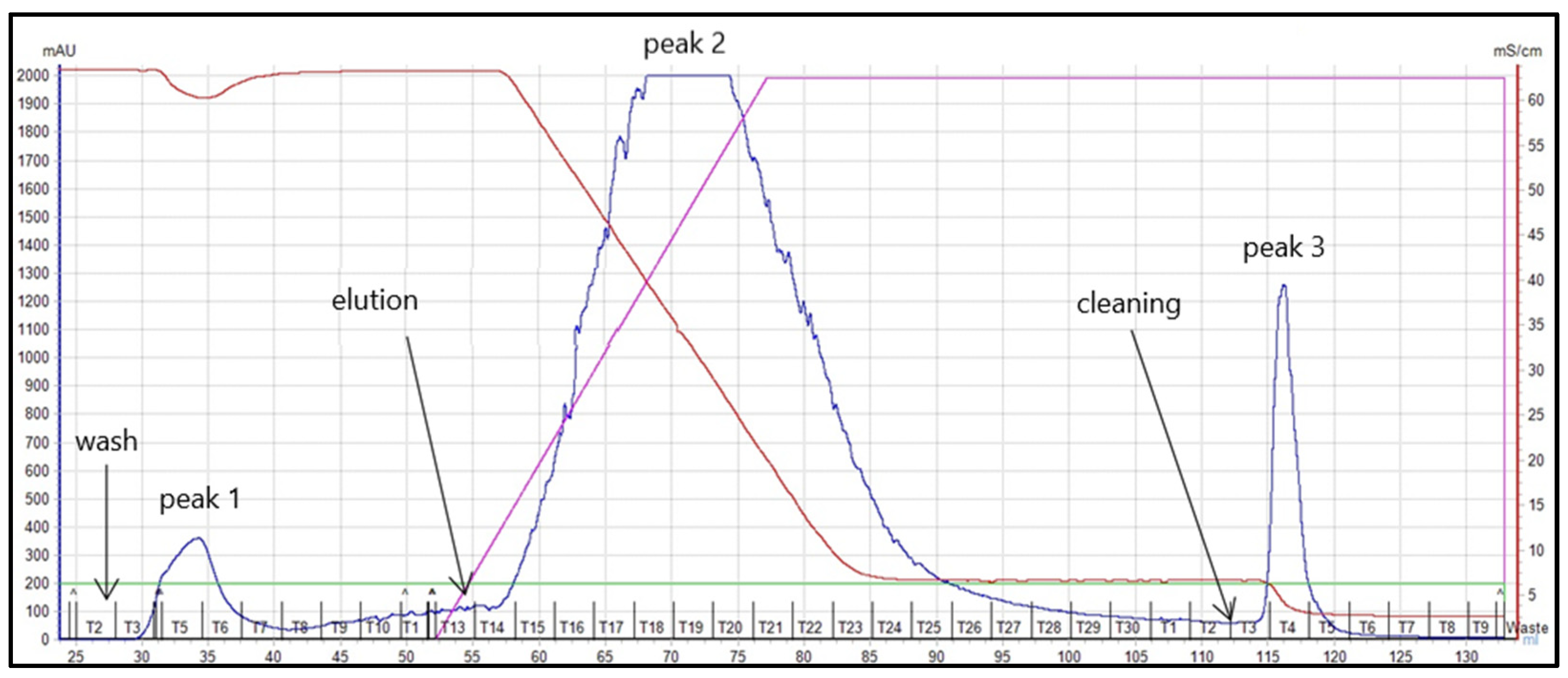 Vaccines 10 00128 g001