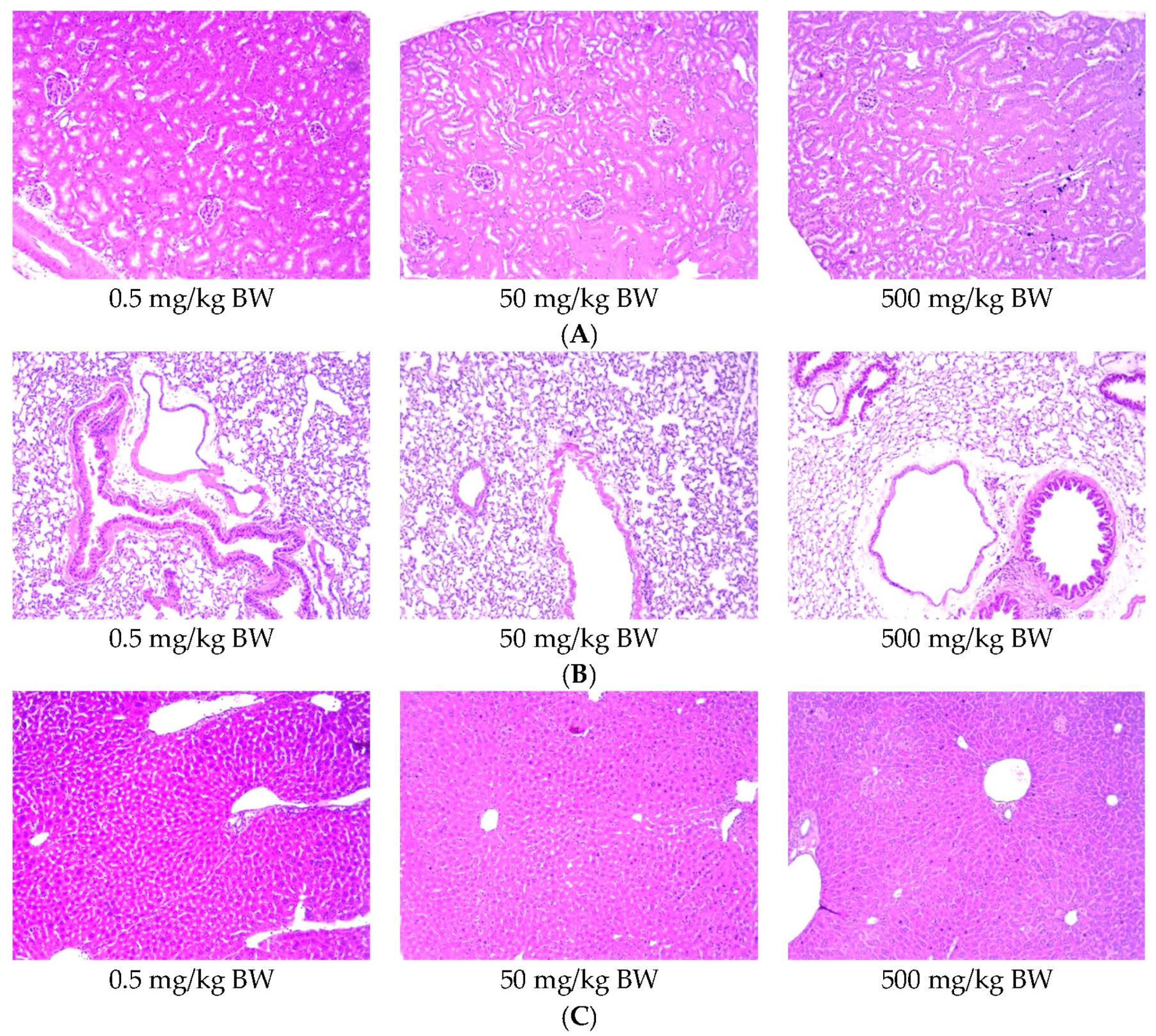 Vaccines 10 00128 g010