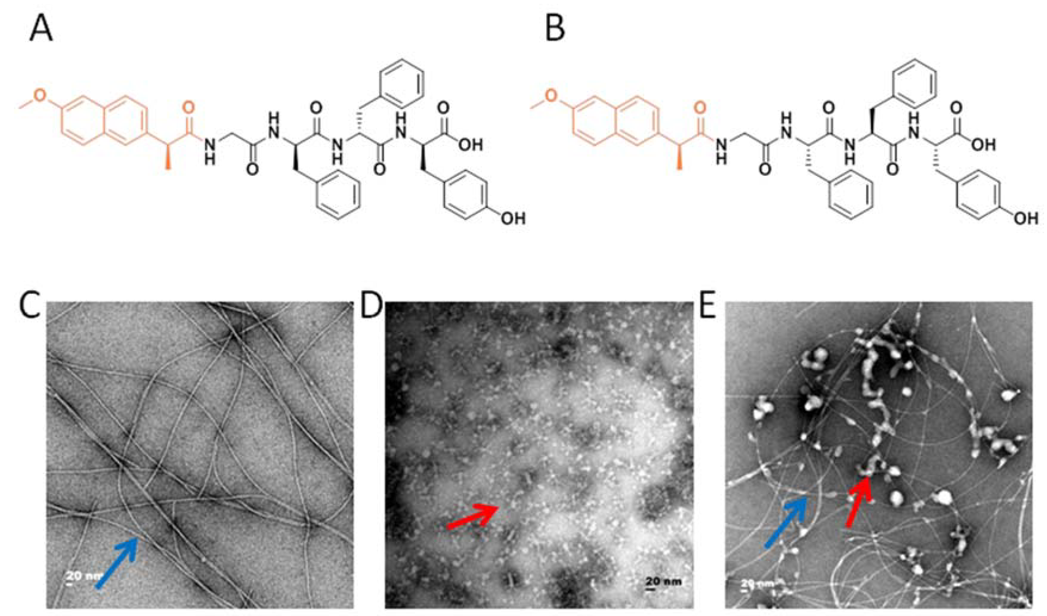 Vaccines 10 00130 g001a Vaccines 10 00130 g001a
