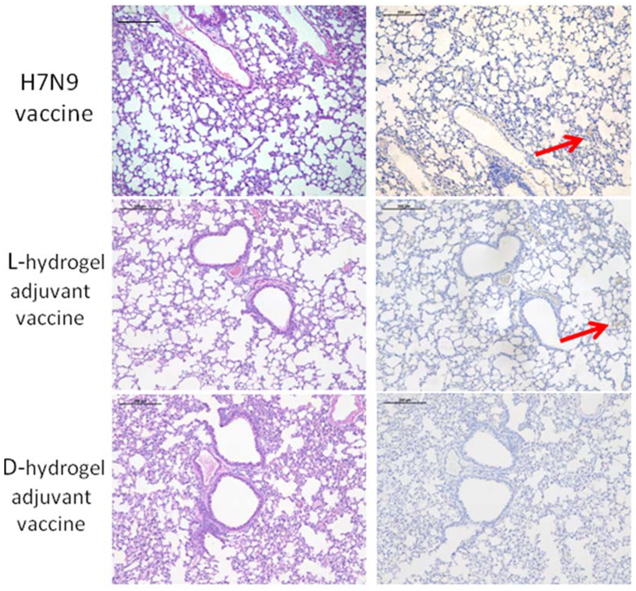 Vaccines 10 00130 g003b Vaccines 10 00130 g003b
