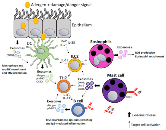 Vaccines 10 00133 g001 550