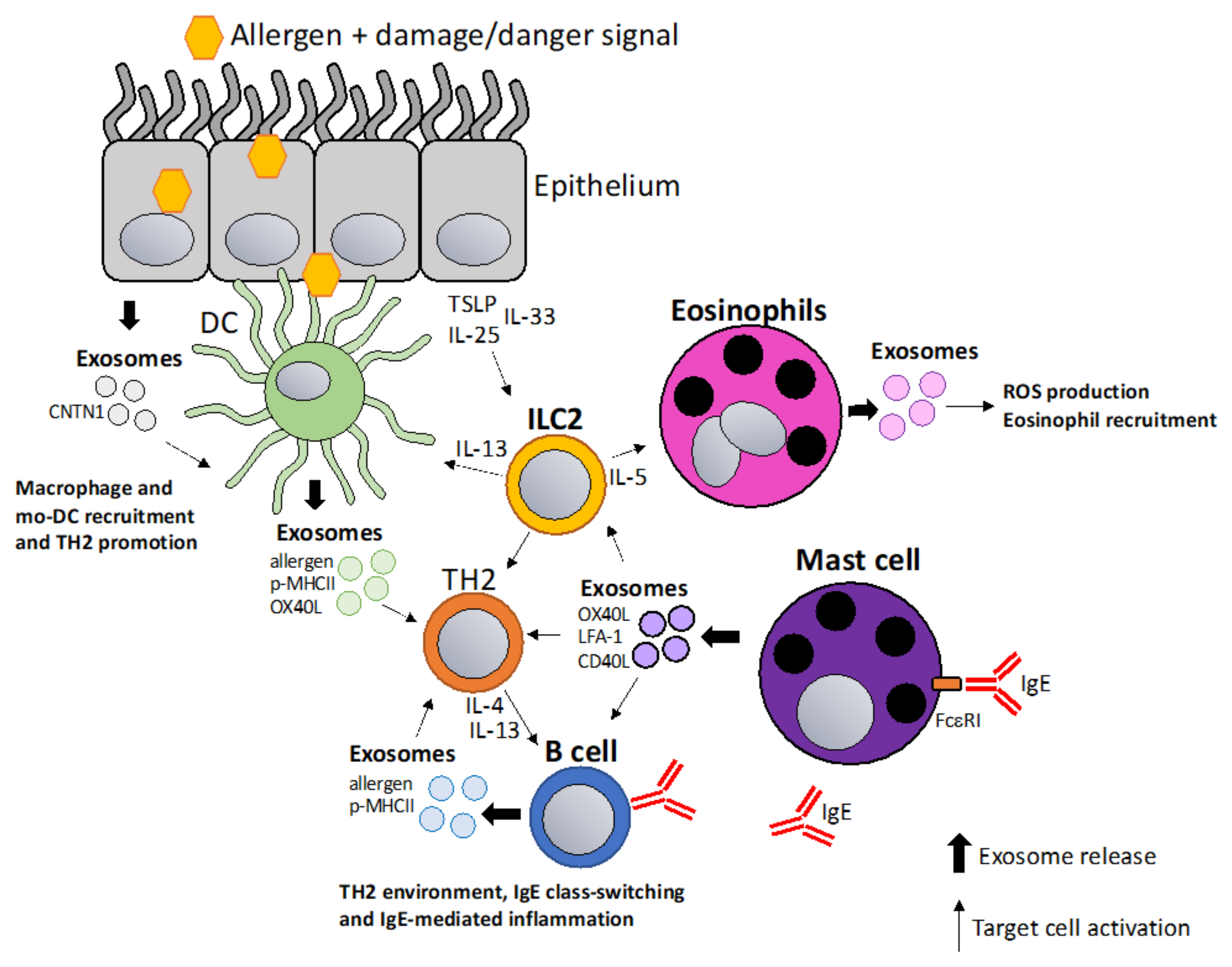 Vaccines 10 00133 g001