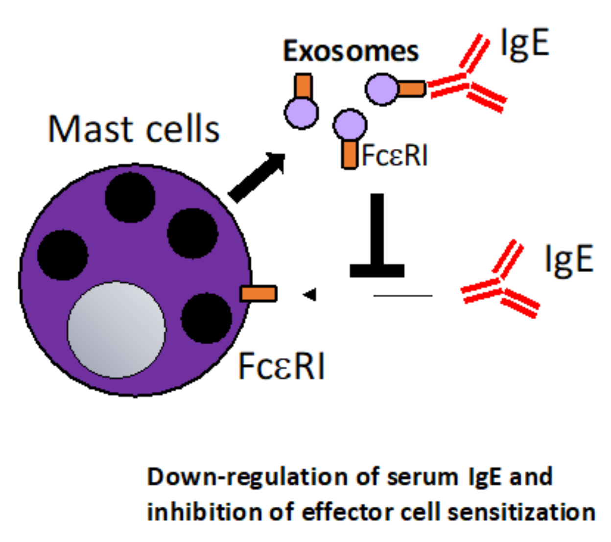 Vaccines 10 00133 g002