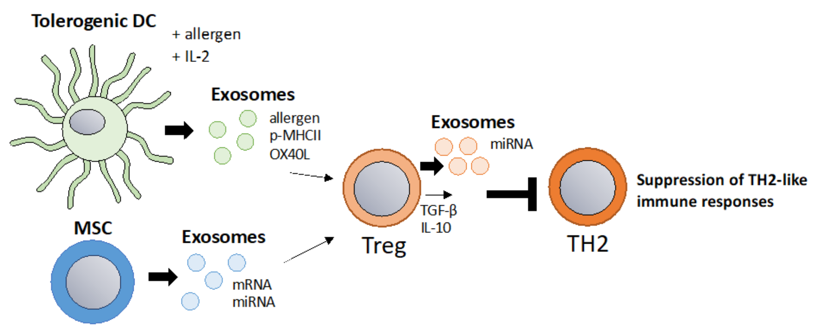 Vaccines 10 00133 g003