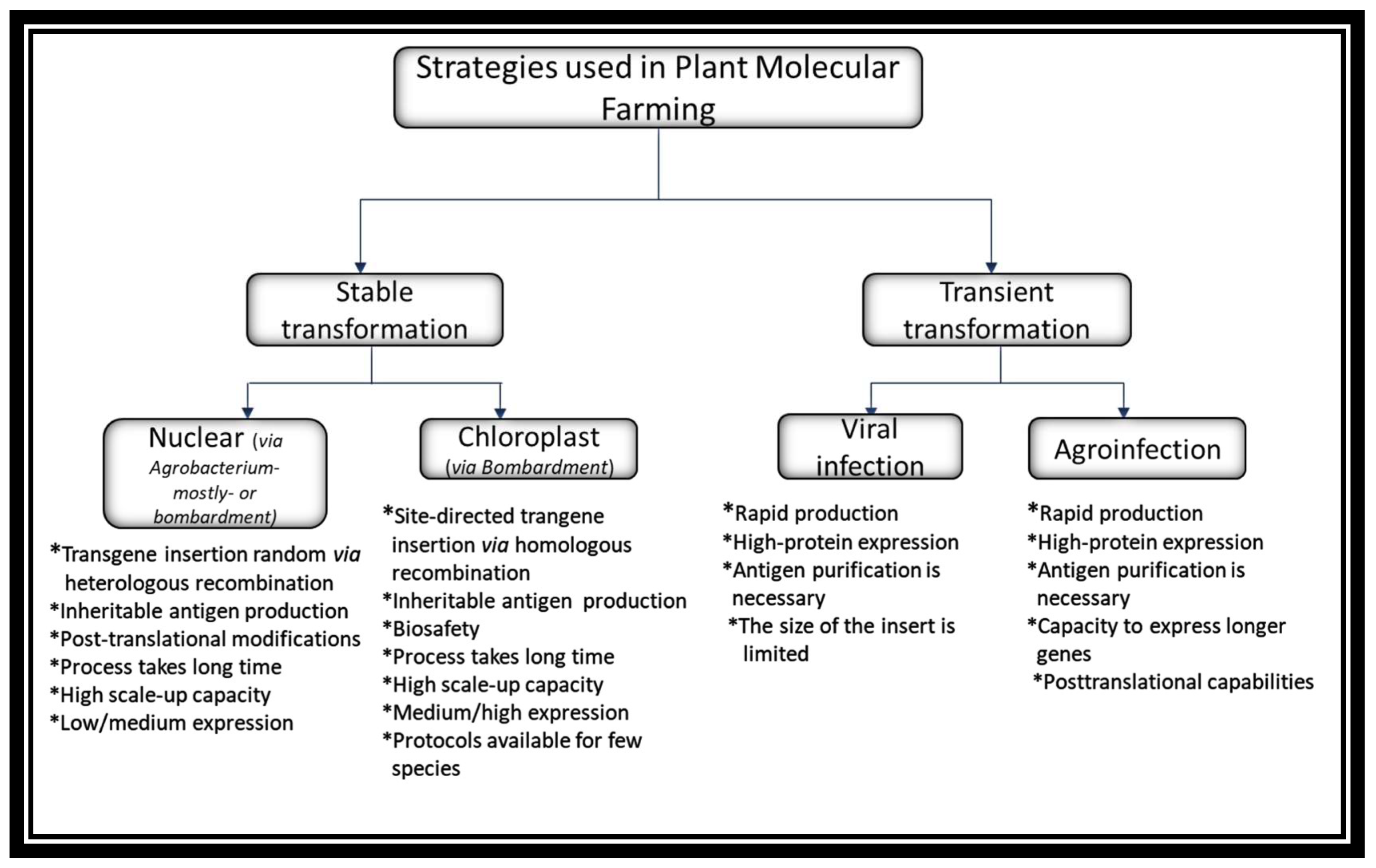 Vaccines 10 00138 g002