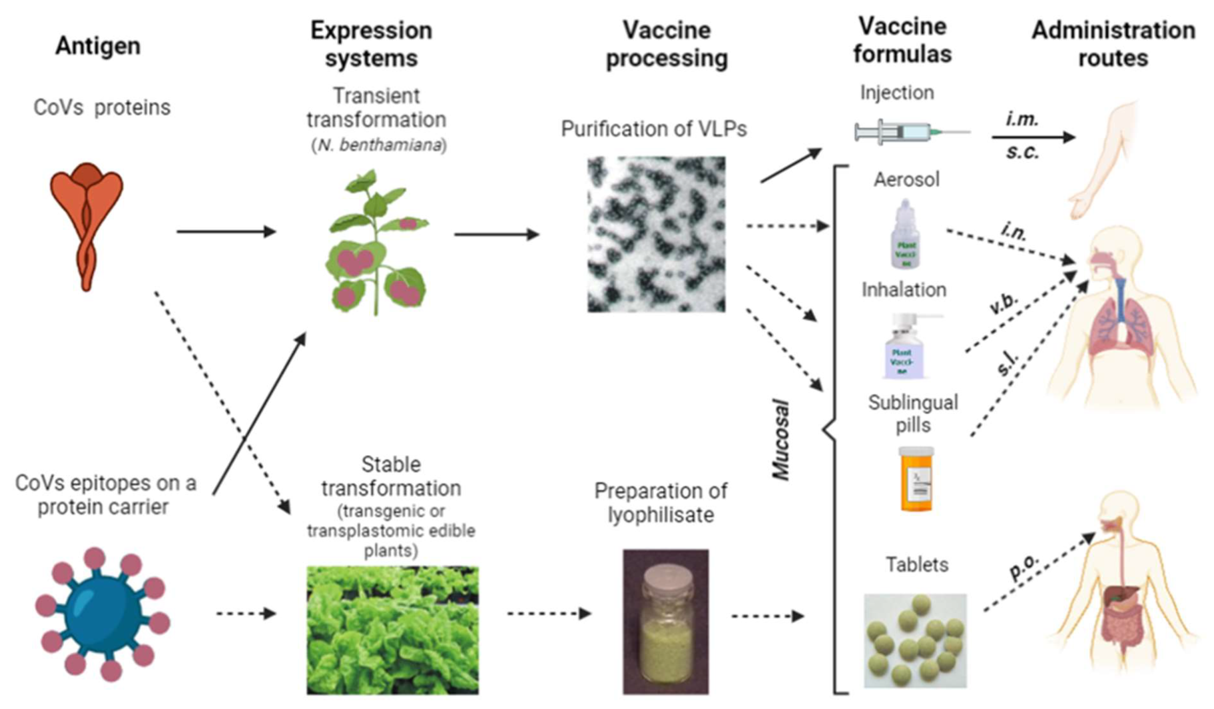 Vaccines 10 00138 g003