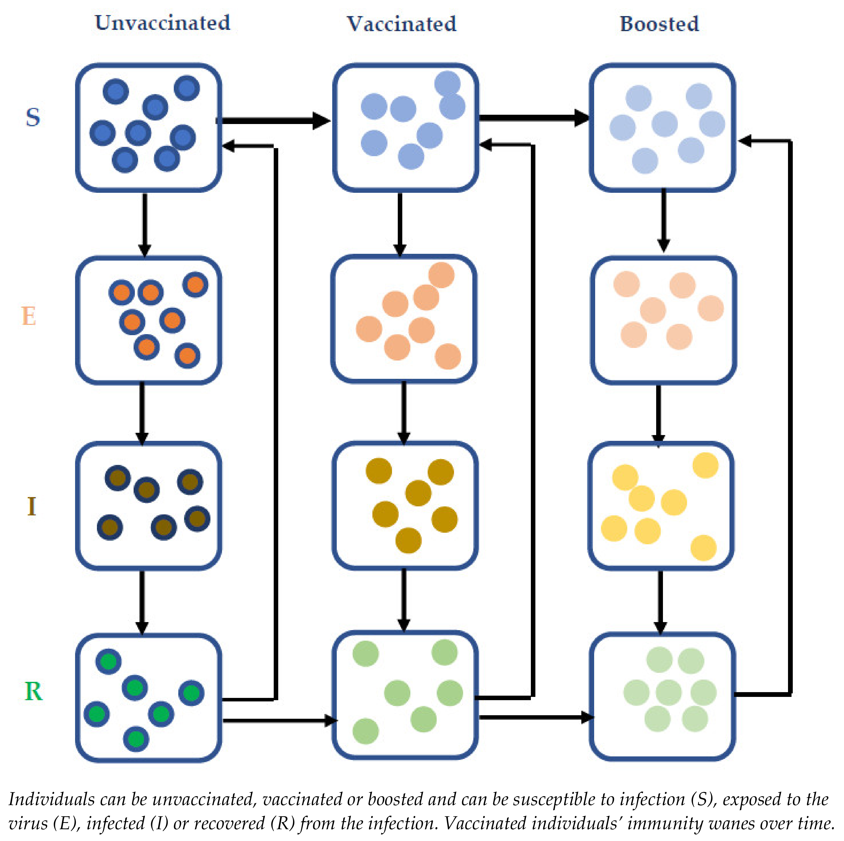 Vaccines 10 00140 g001