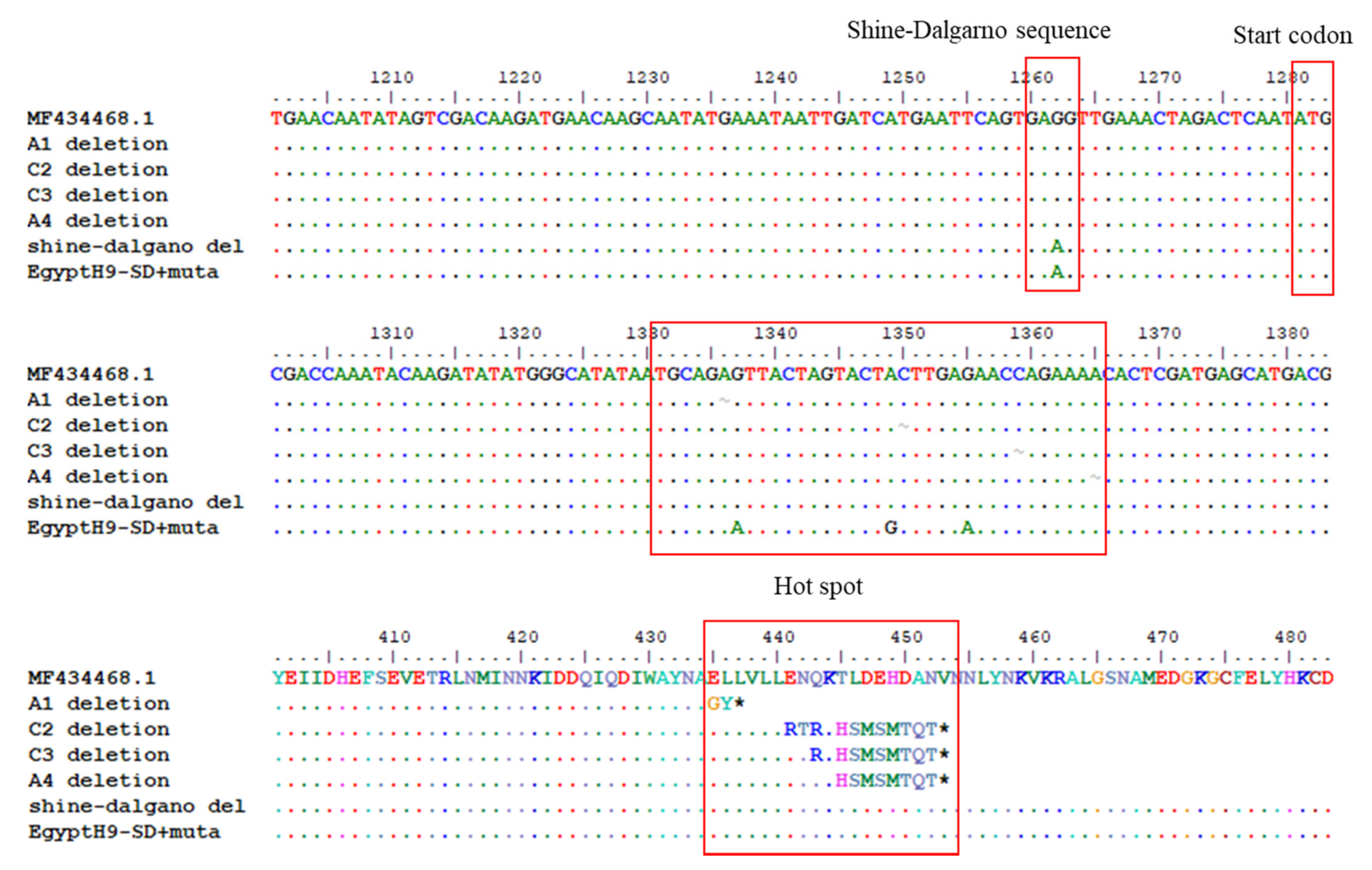 Vaccines 10 00162 g001