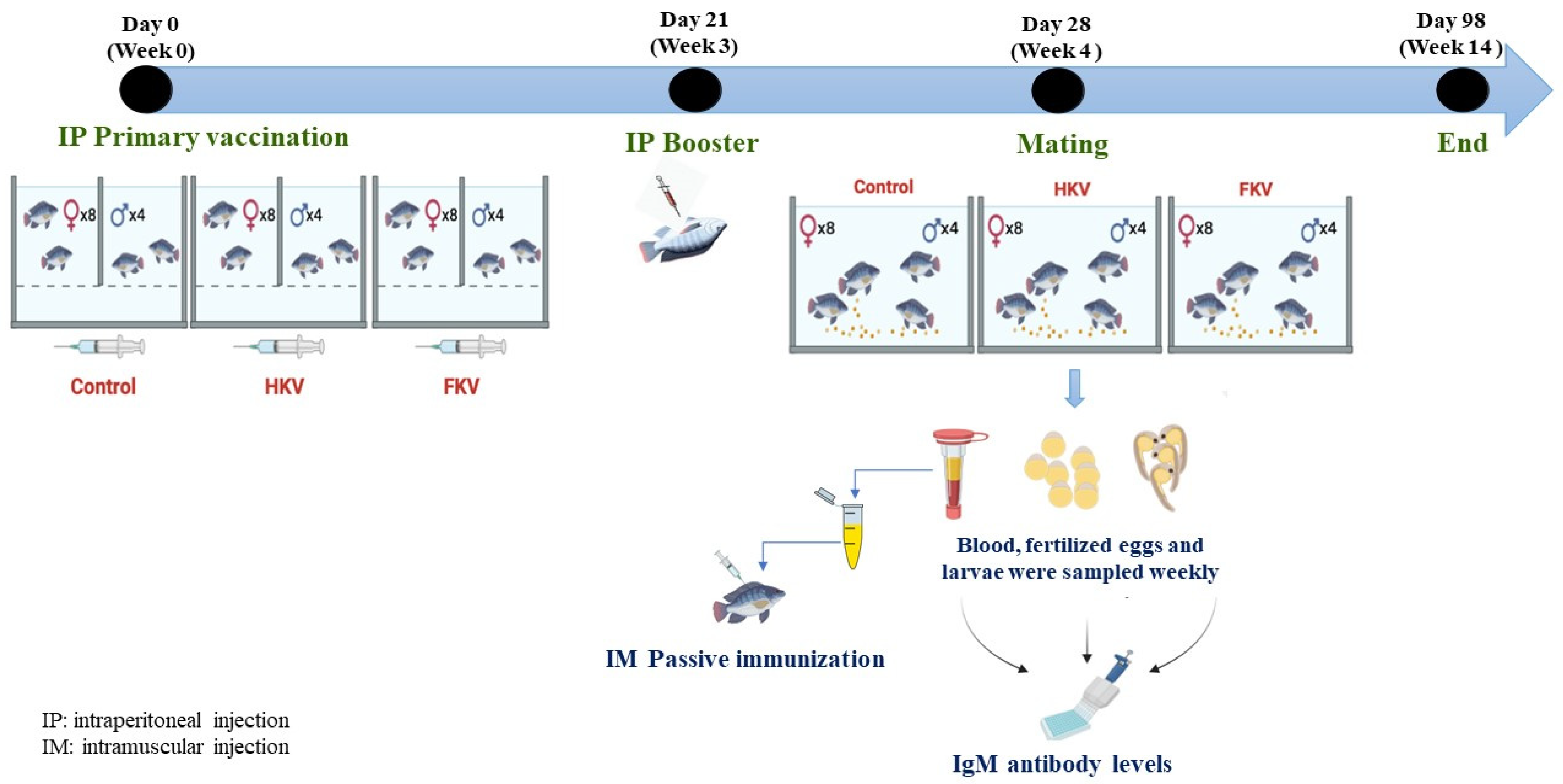Vaccines 10 00167 g001