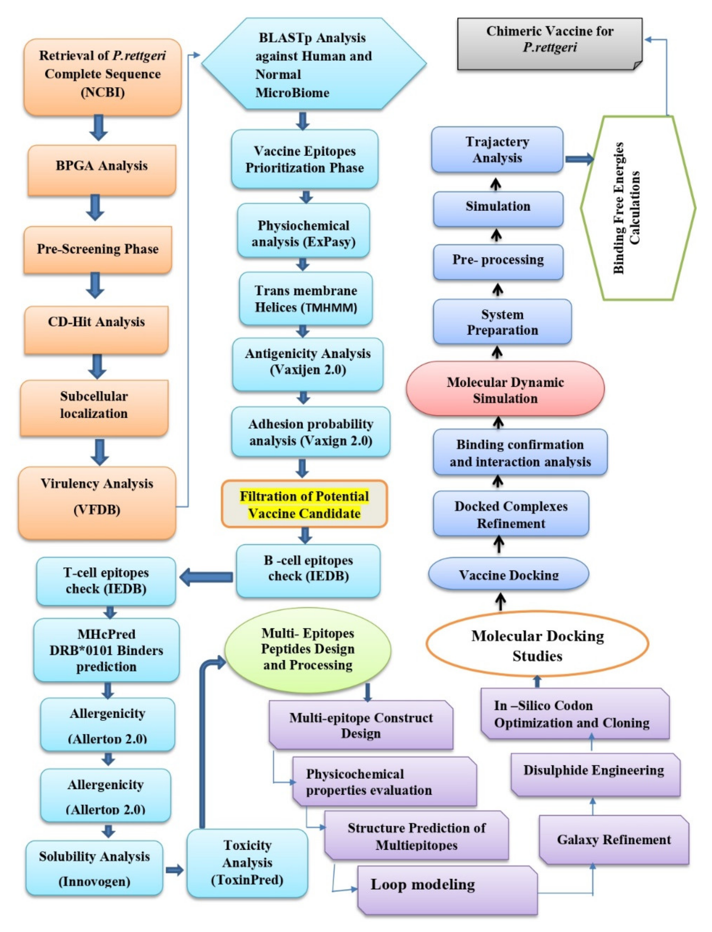 Vaccines 10 00189 g001