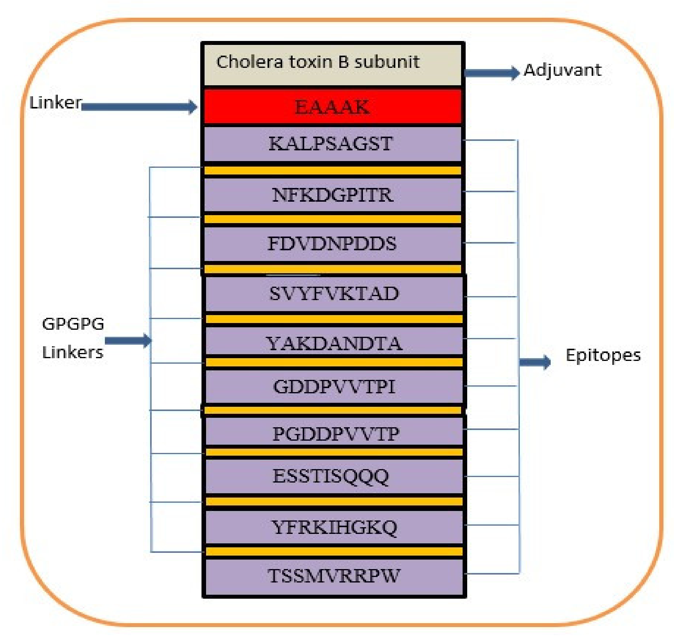 Vaccines 10 00189 g004