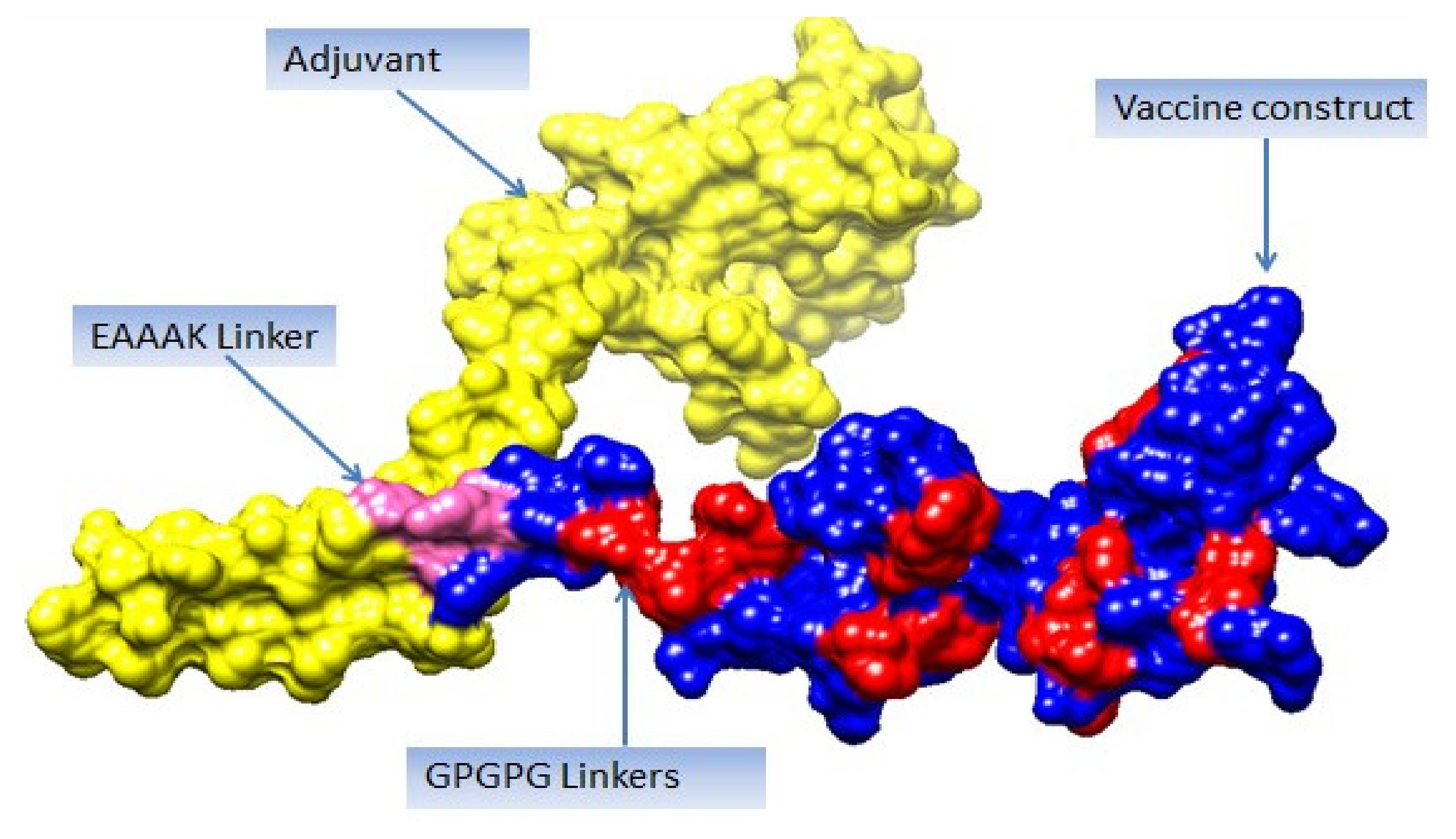 Vaccines 10 00189 g005