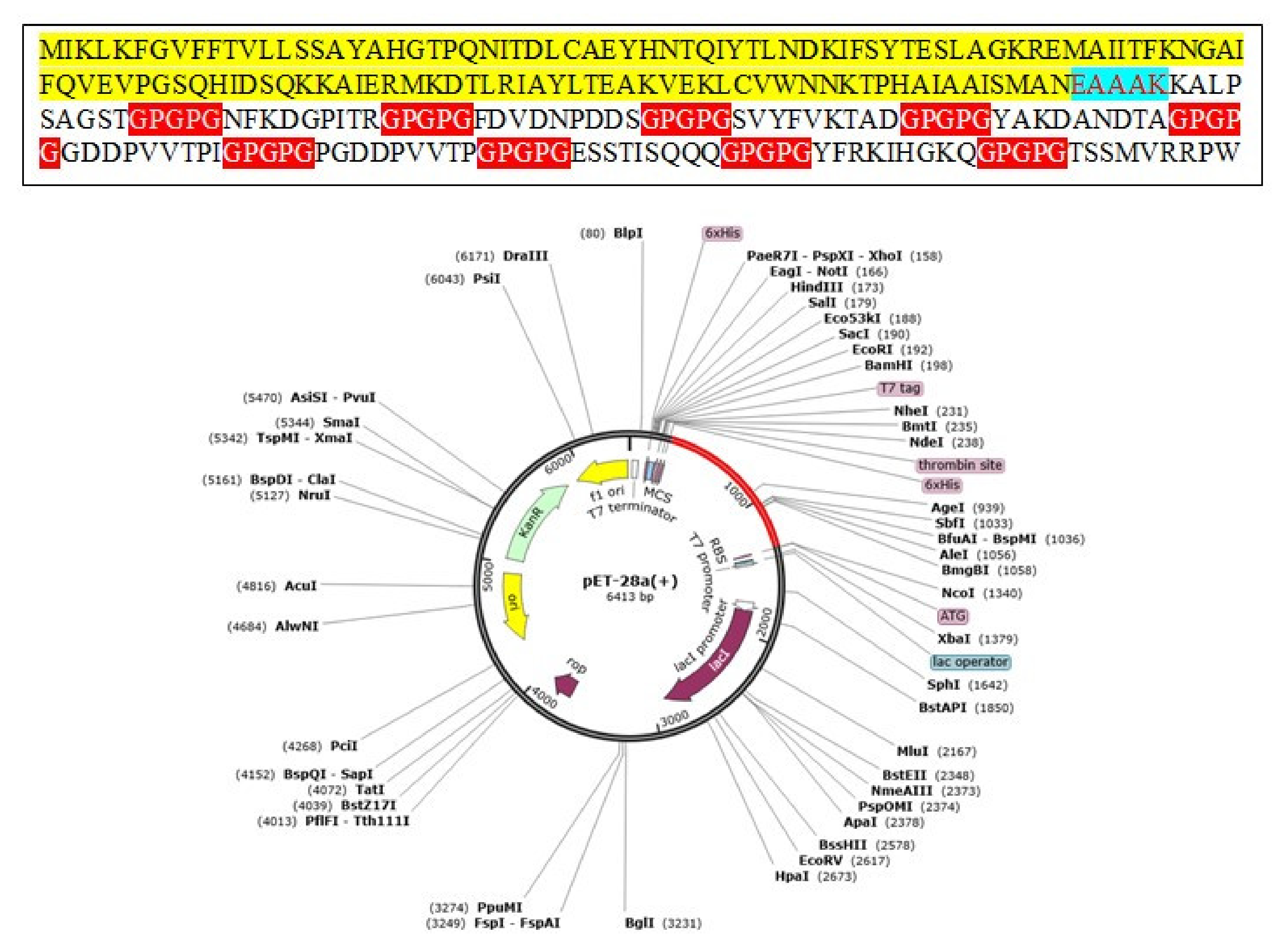 Vaccines 10 00189 g007