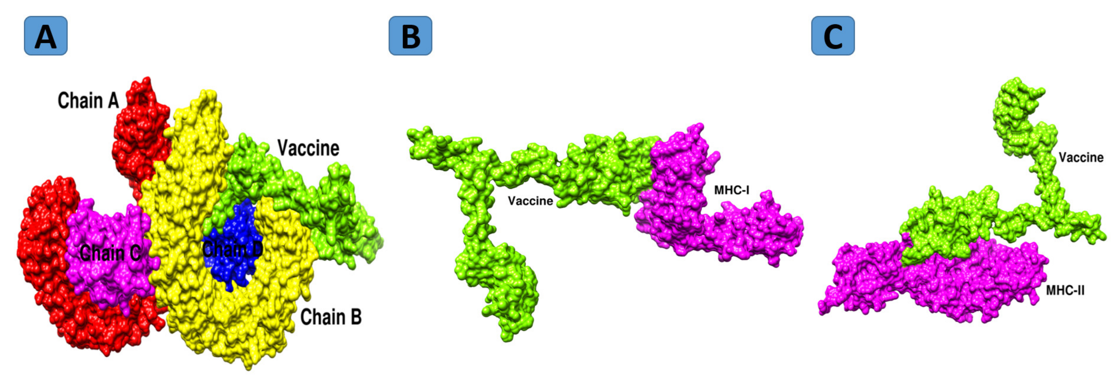 Vaccines 10 00189 g008