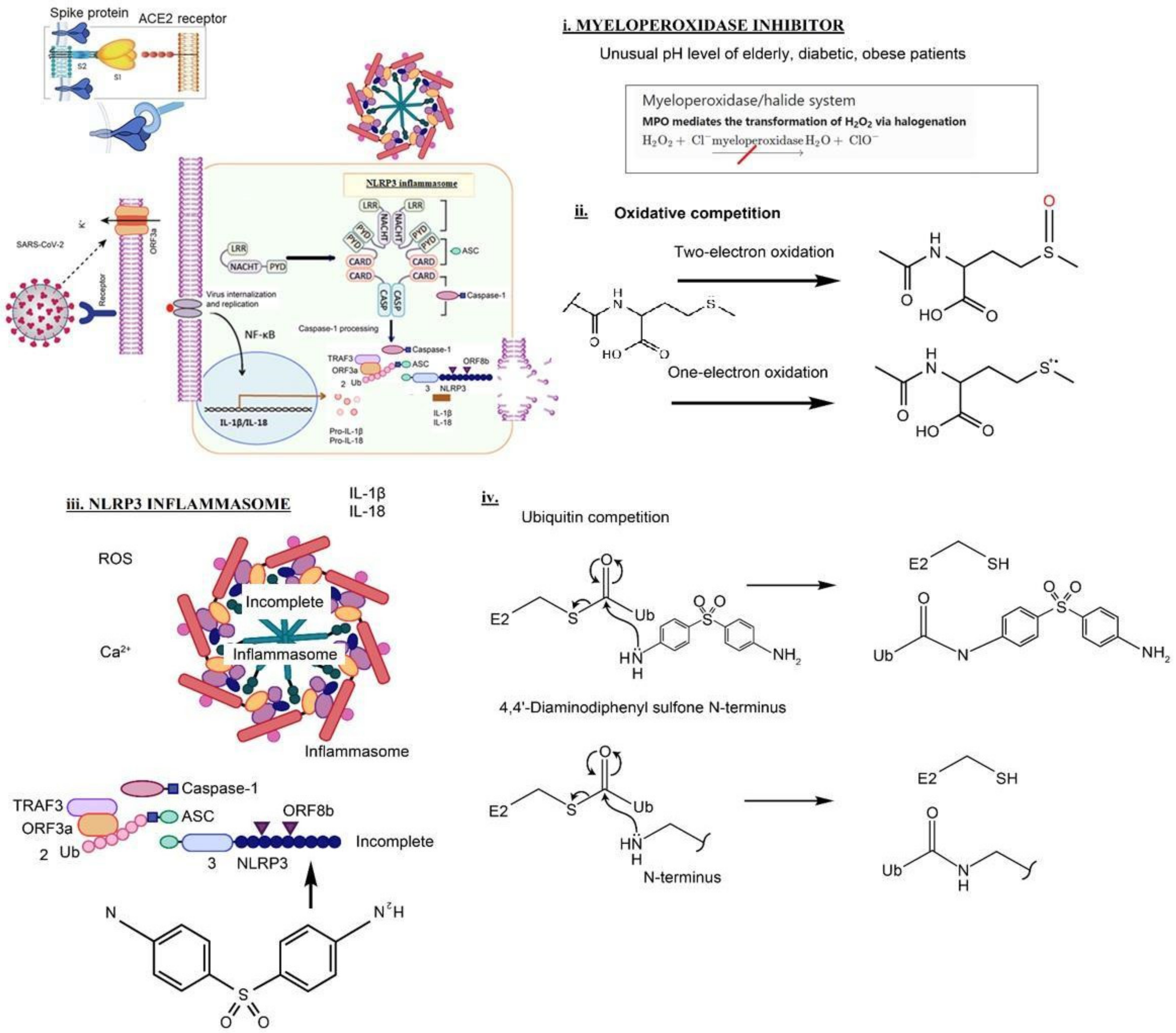 Vaccines 10 00195 g001