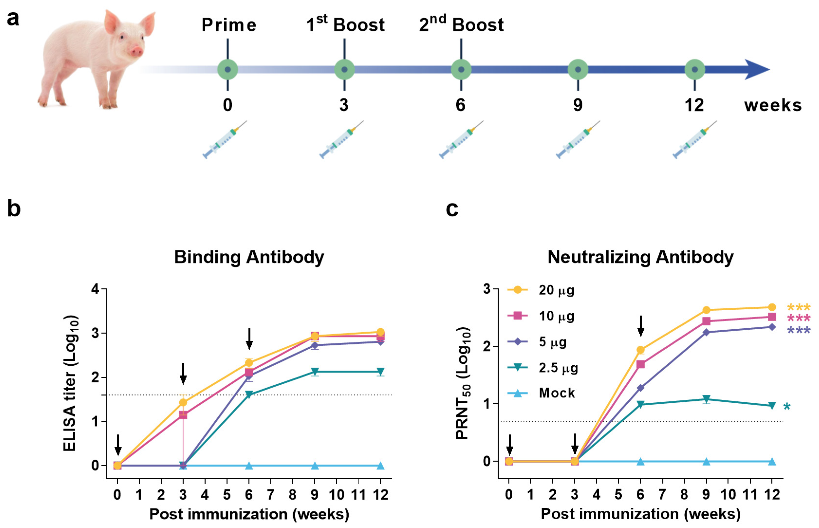 Vaccines 10 00197 g004