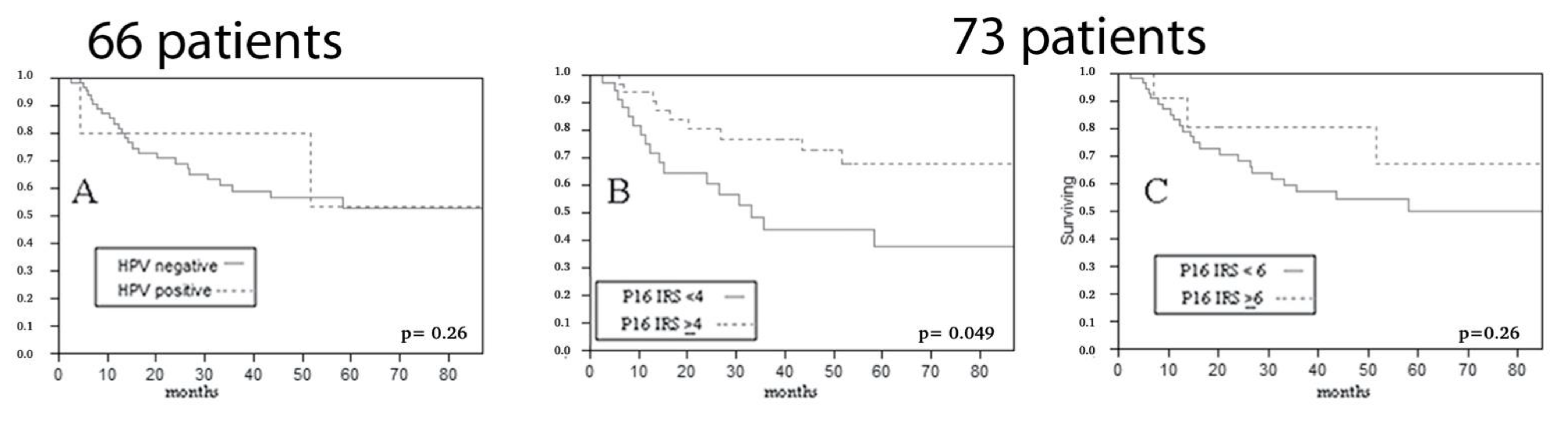 Vaccines 10 00204 g005