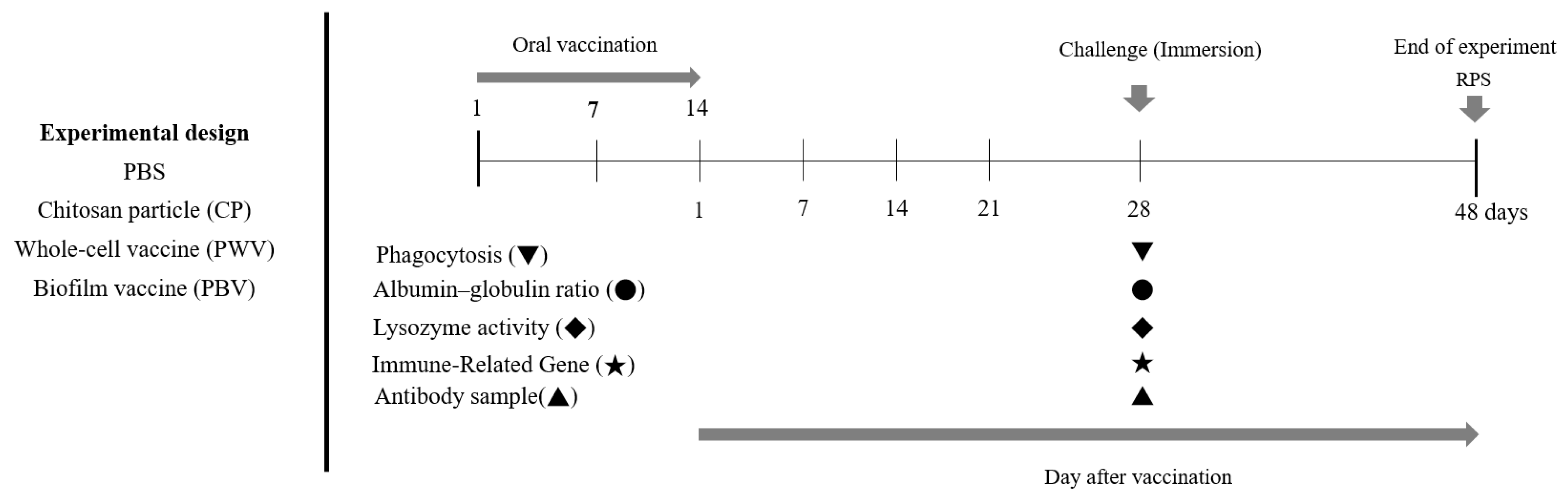 Vaccines 10 00207 g001