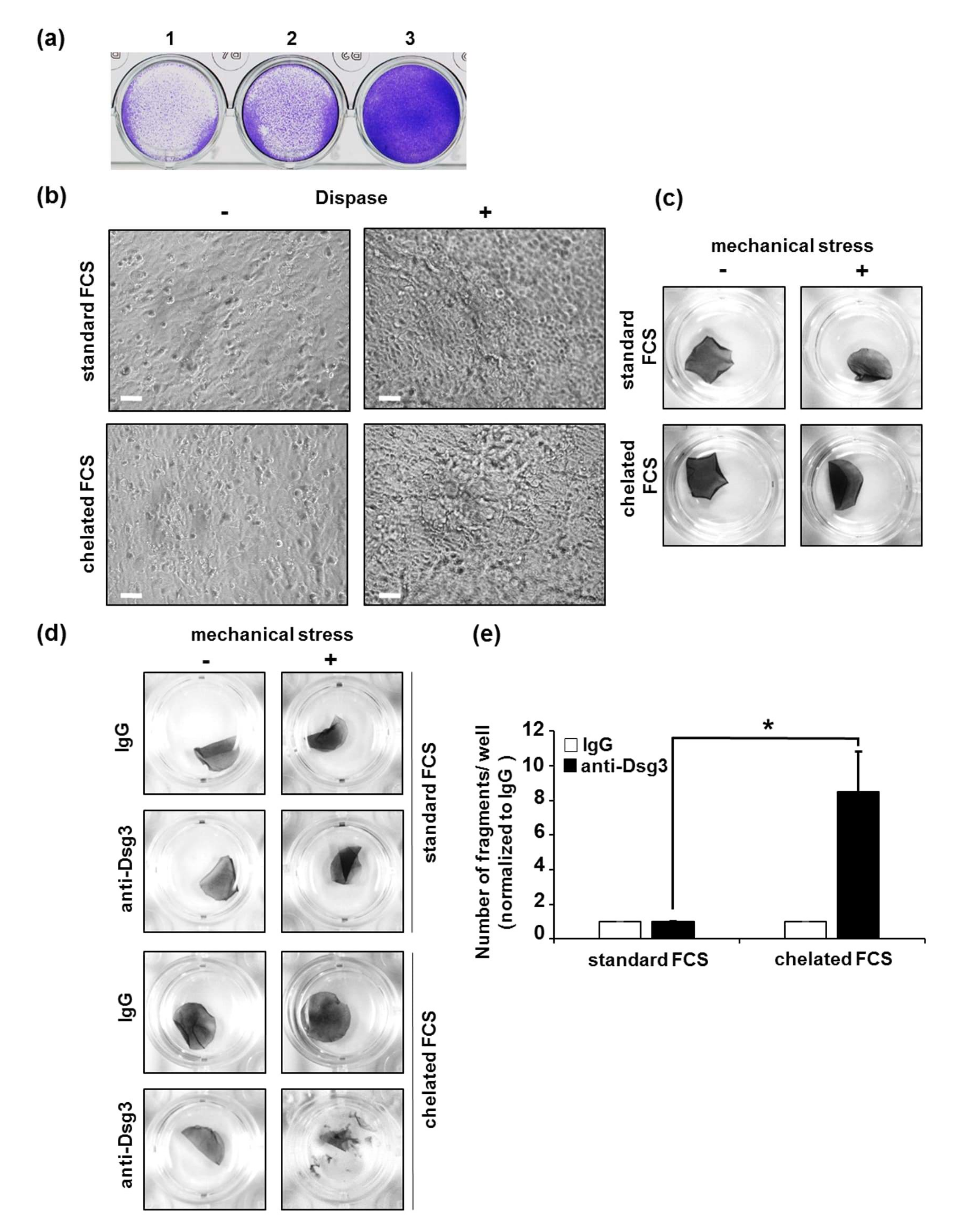 Vaccines 10 00208 g002