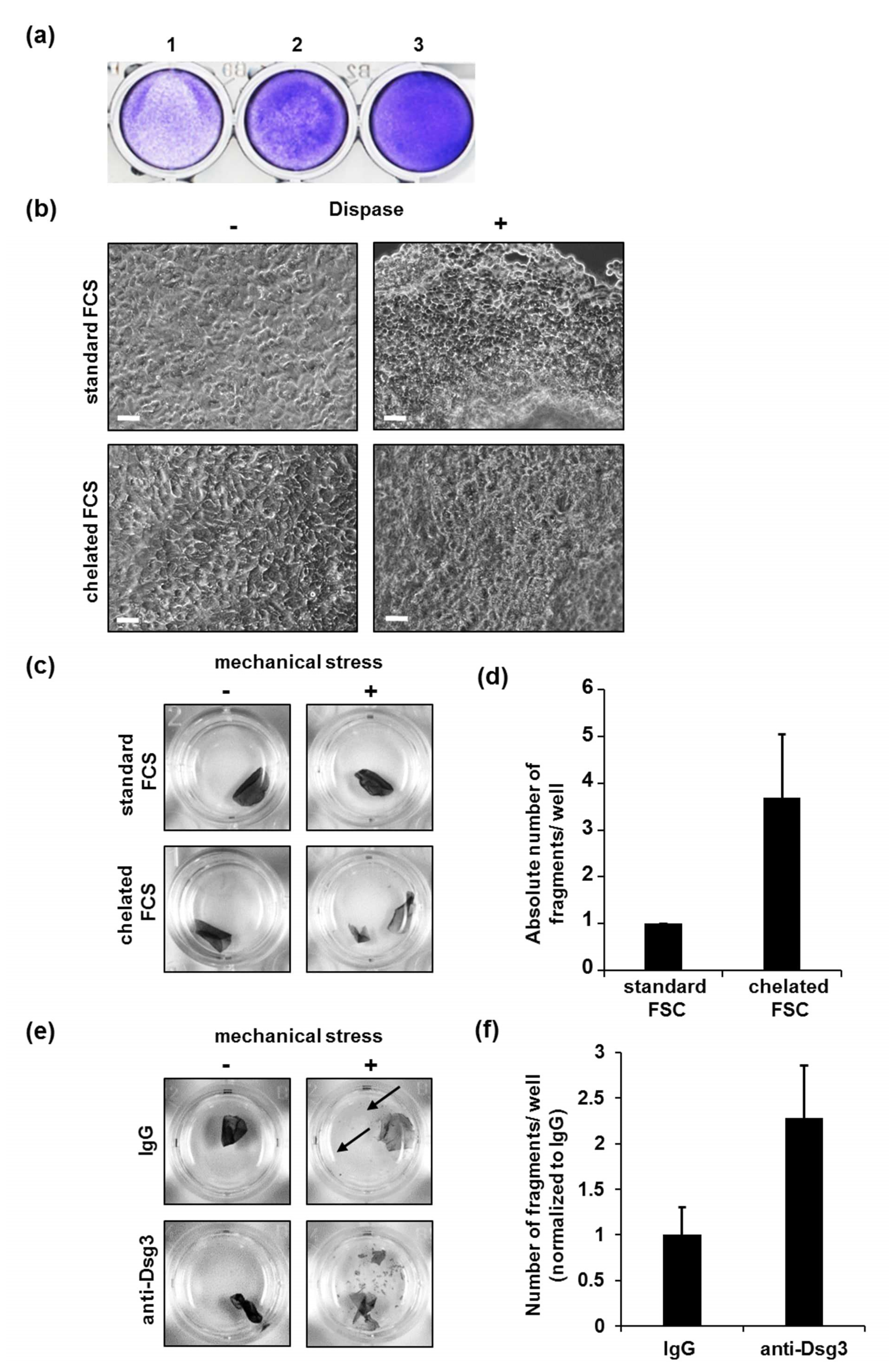 Vaccines 10 00208 g003