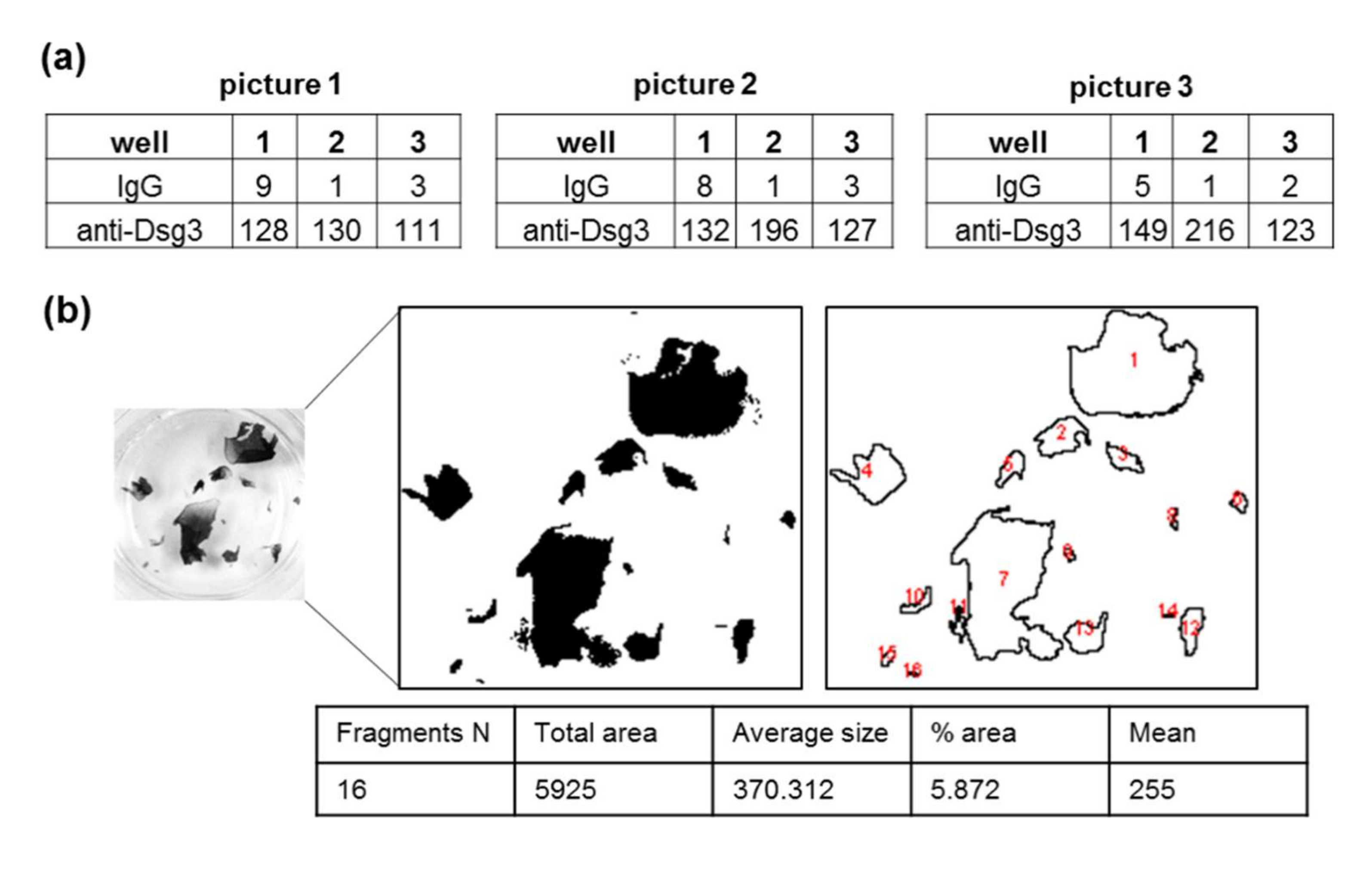 Vaccines 10 00208 g004