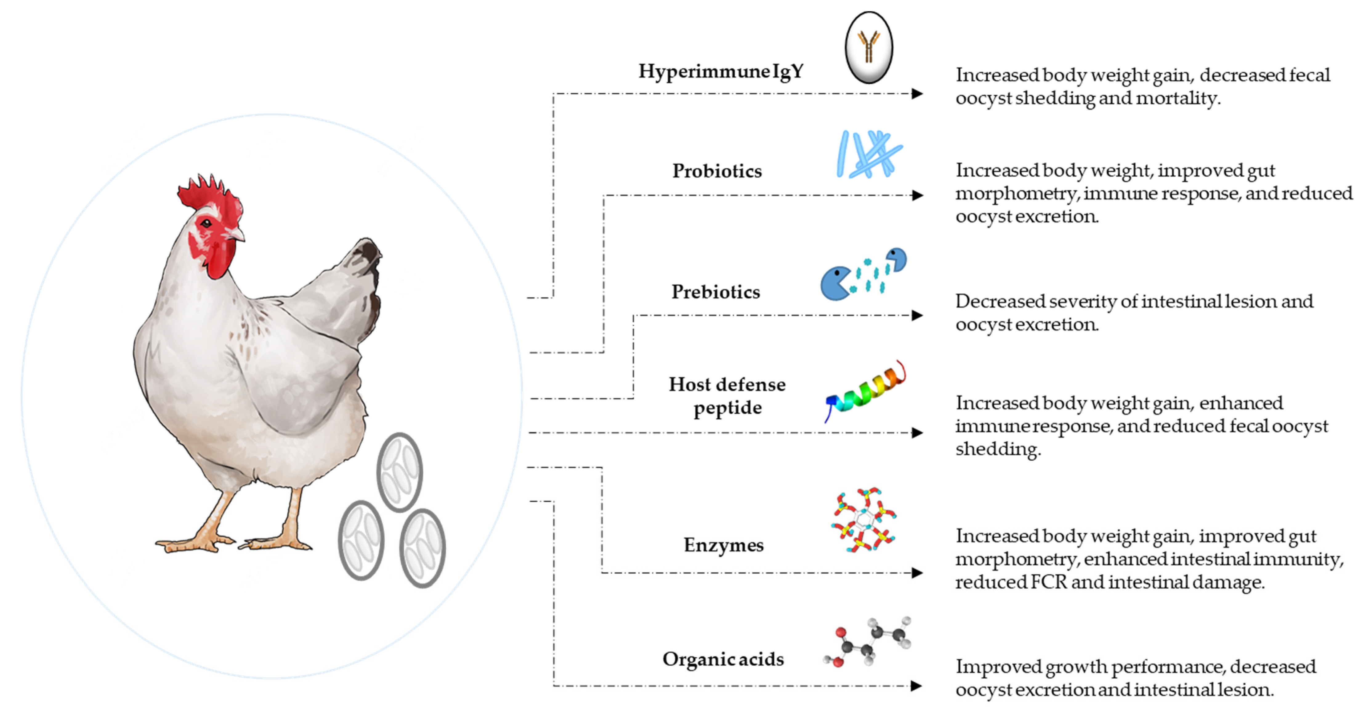 Vaccines 10 00215 g001