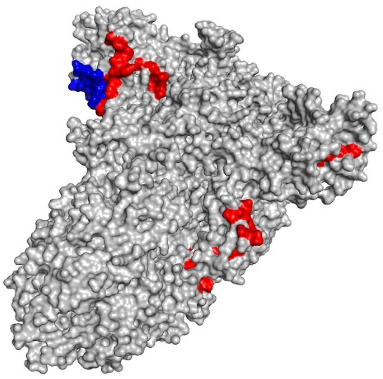 Vaccines 10 00218 g002