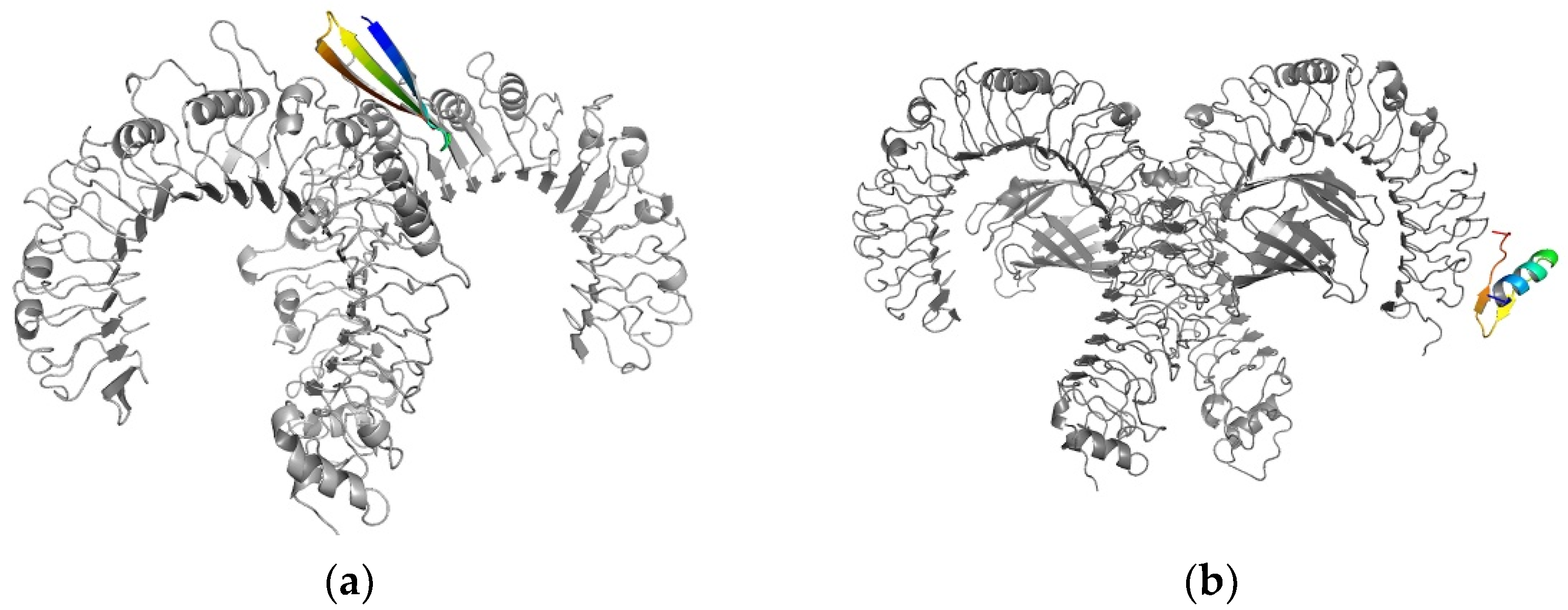 Vaccines 10 00218 g004