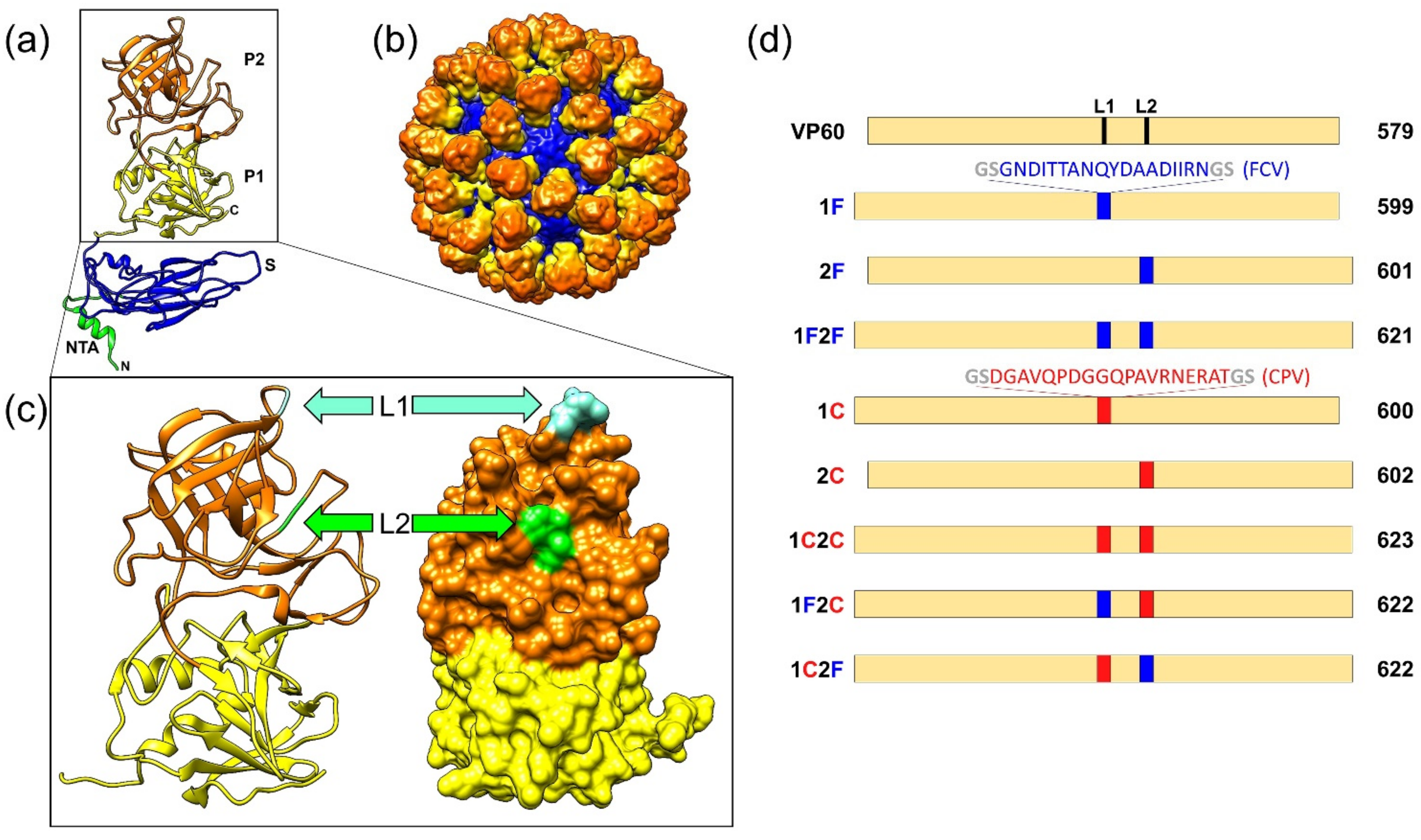 Vaccines 10 00229 g001