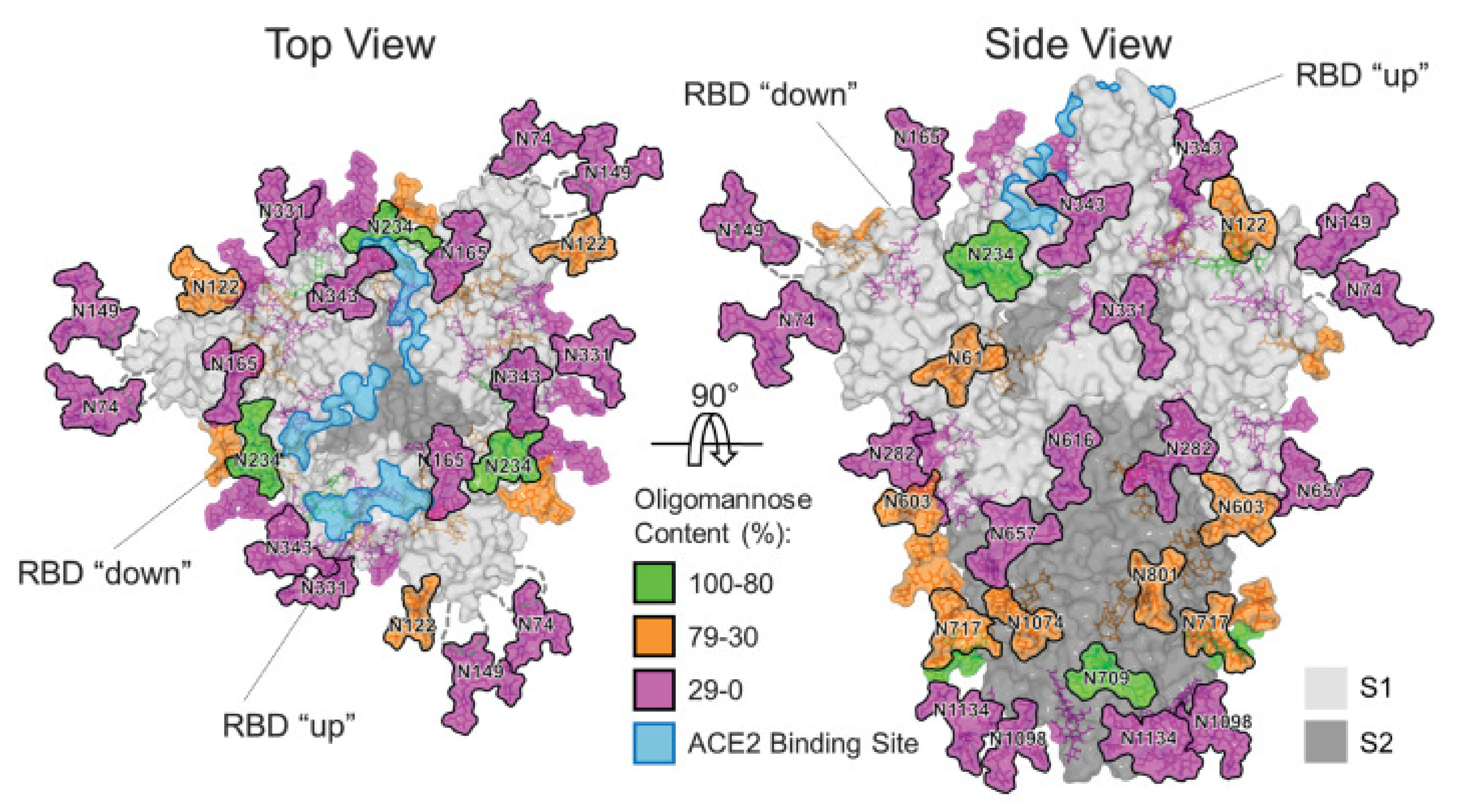 Vaccines 10 00236 g002