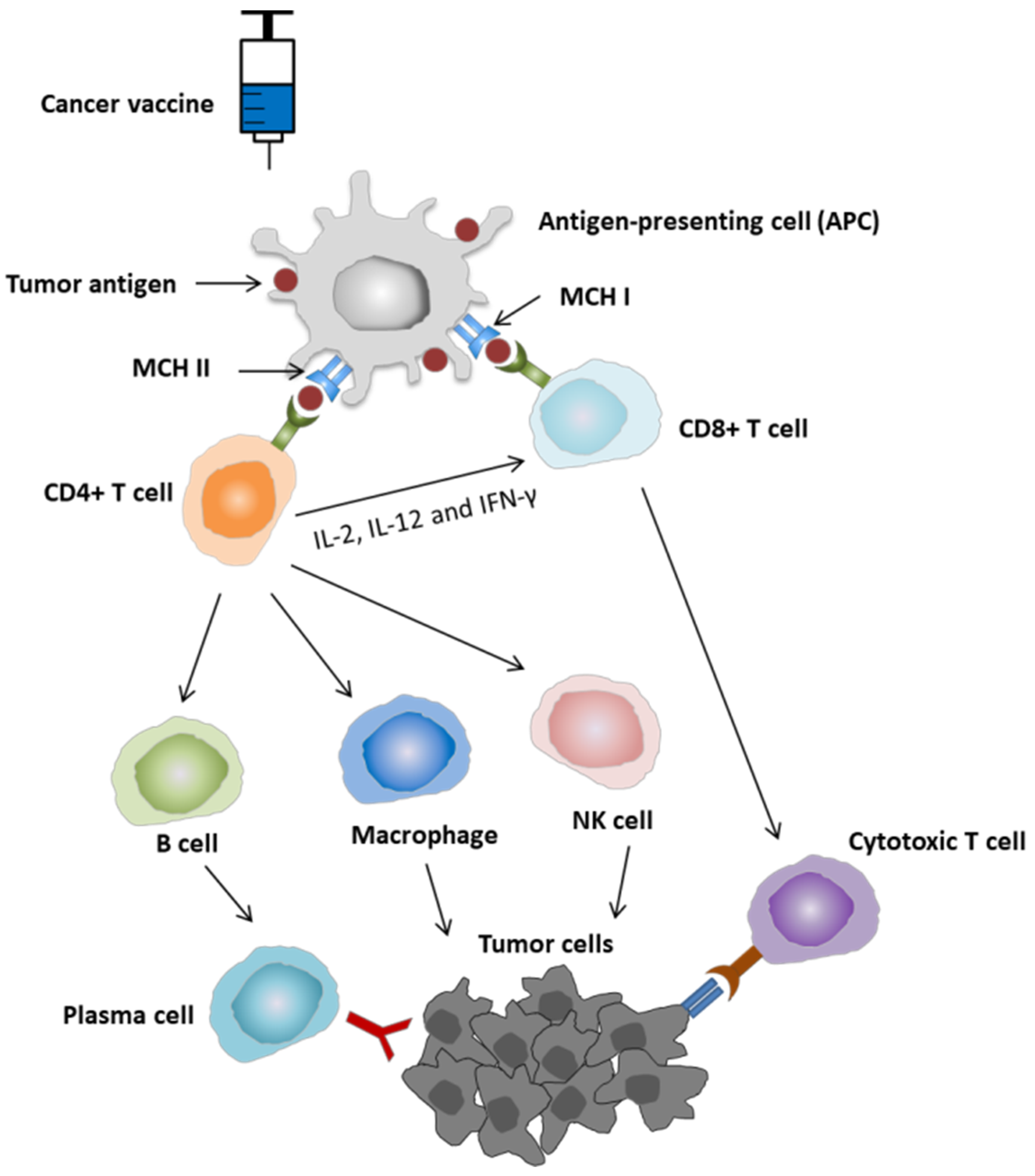 Vaccines 10 00240 g001