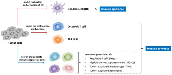 Vaccines 10 00240 g003 550