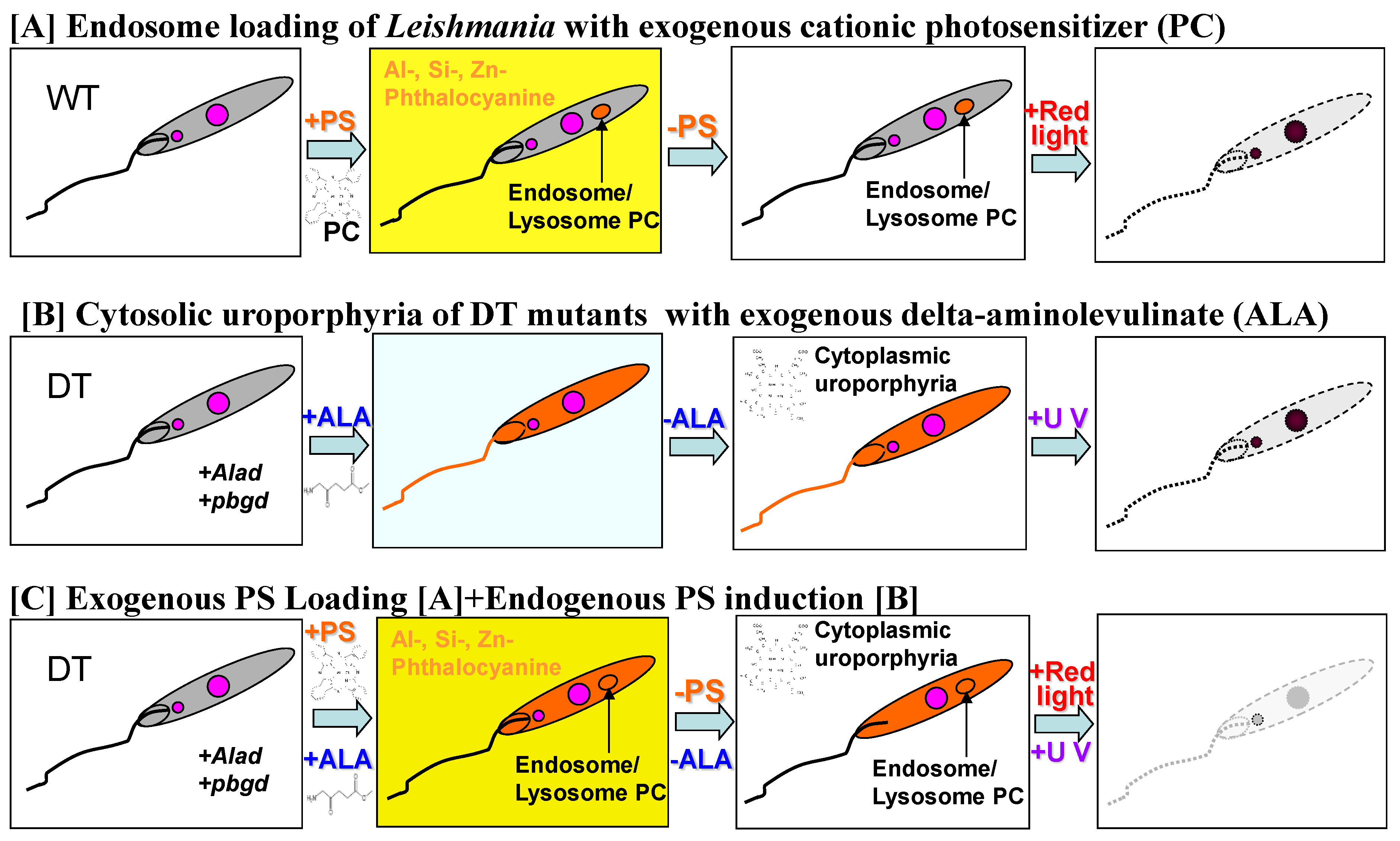 Vaccines 10 00248 g001