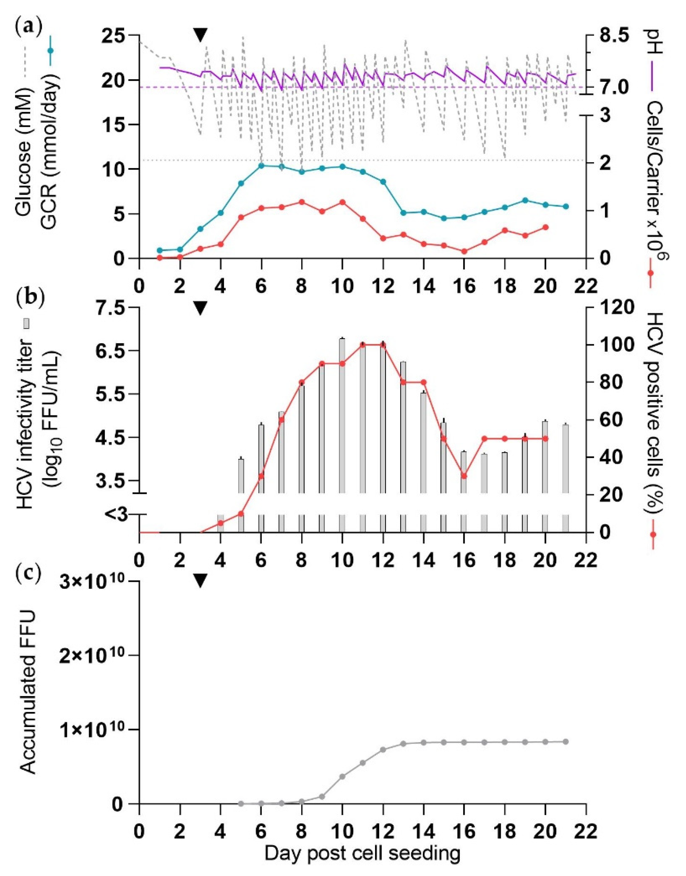Vaccines 10 00249 g001