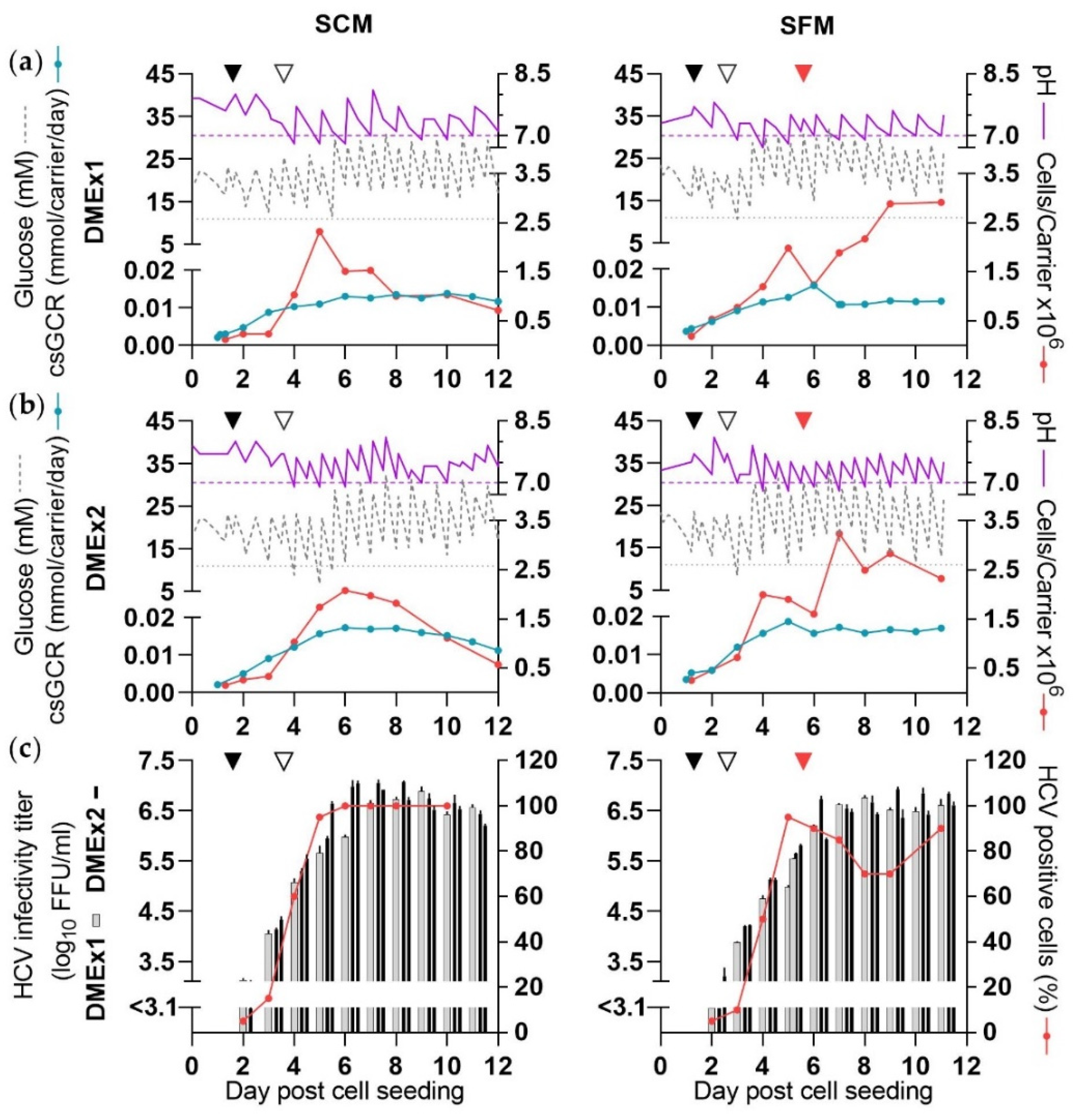 Vaccines 10 00249 g004