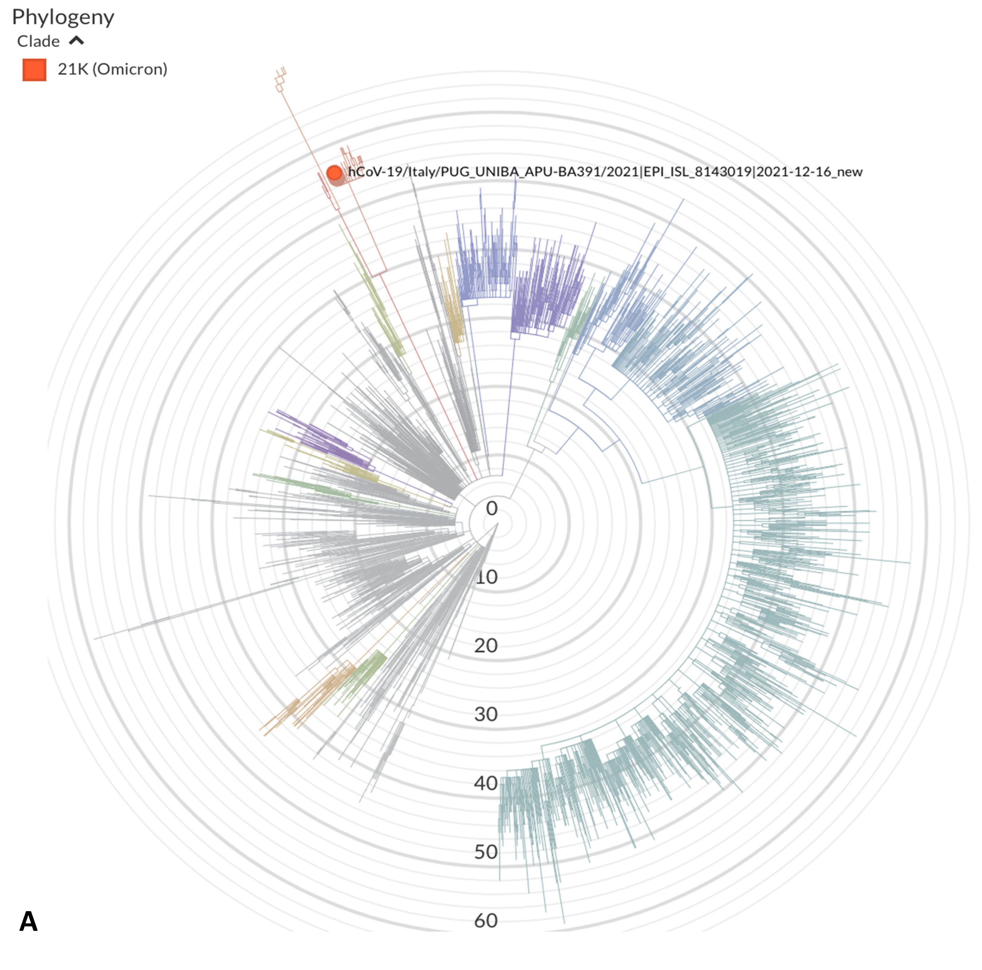 Vaccines 10 00283 g001a