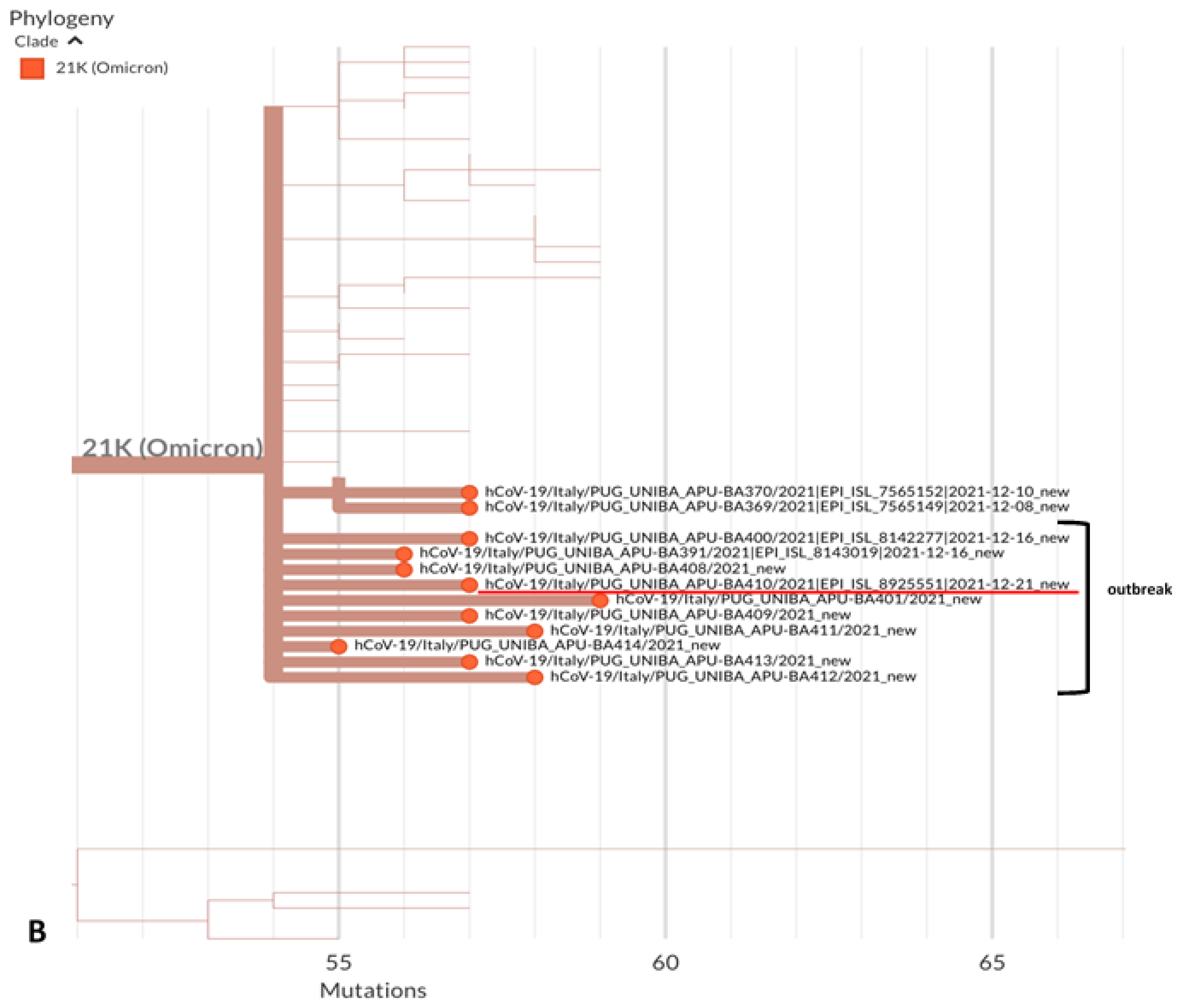 Vaccines 10 00283 g001b
