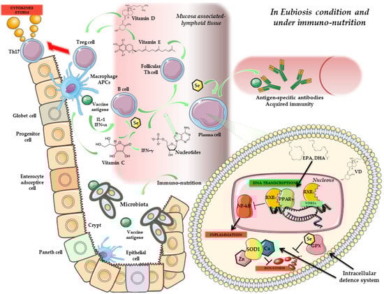 Vaccines 10 00294 g001 550