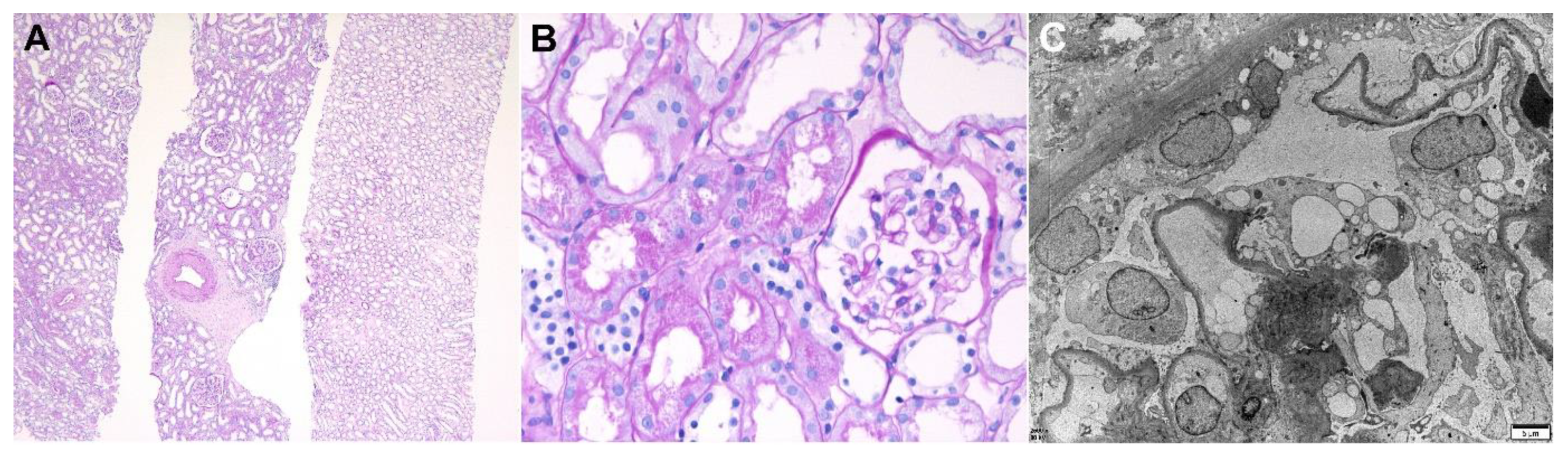 Vaccines 10 00302 g002