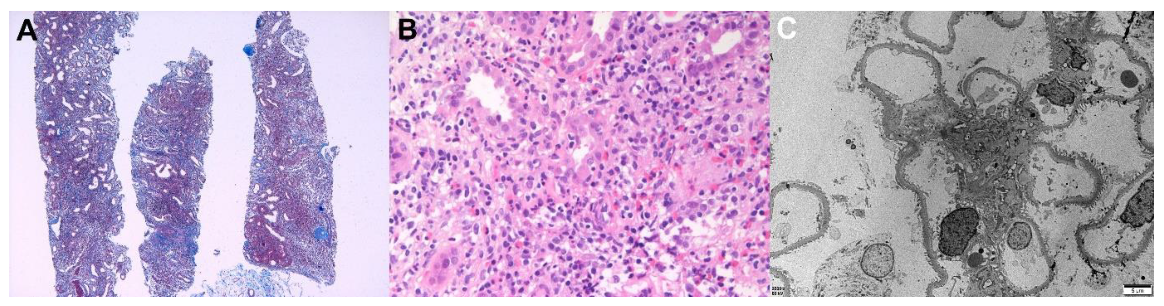 Vaccines 10 00302 g004