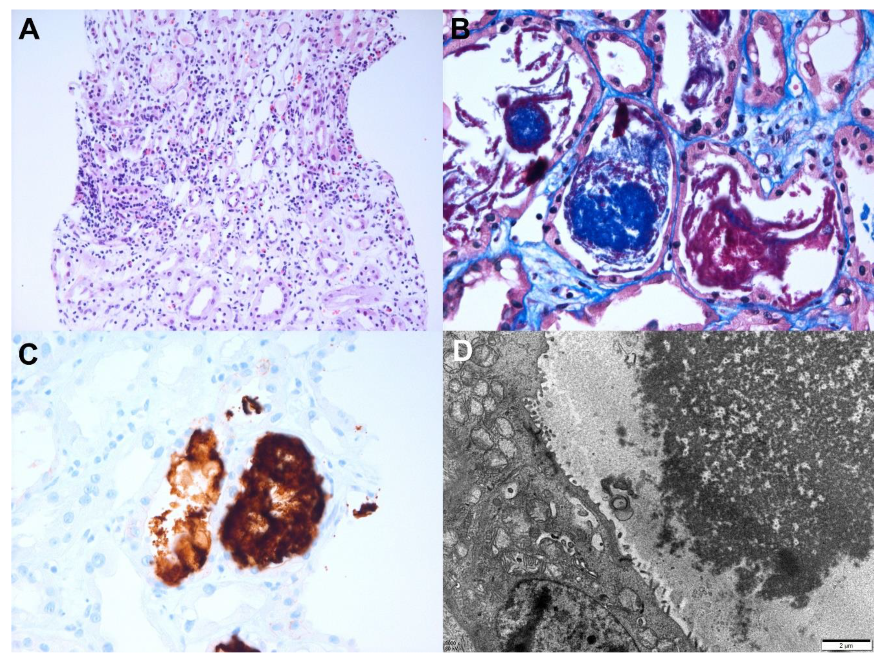 Vaccines 10 00302 g005