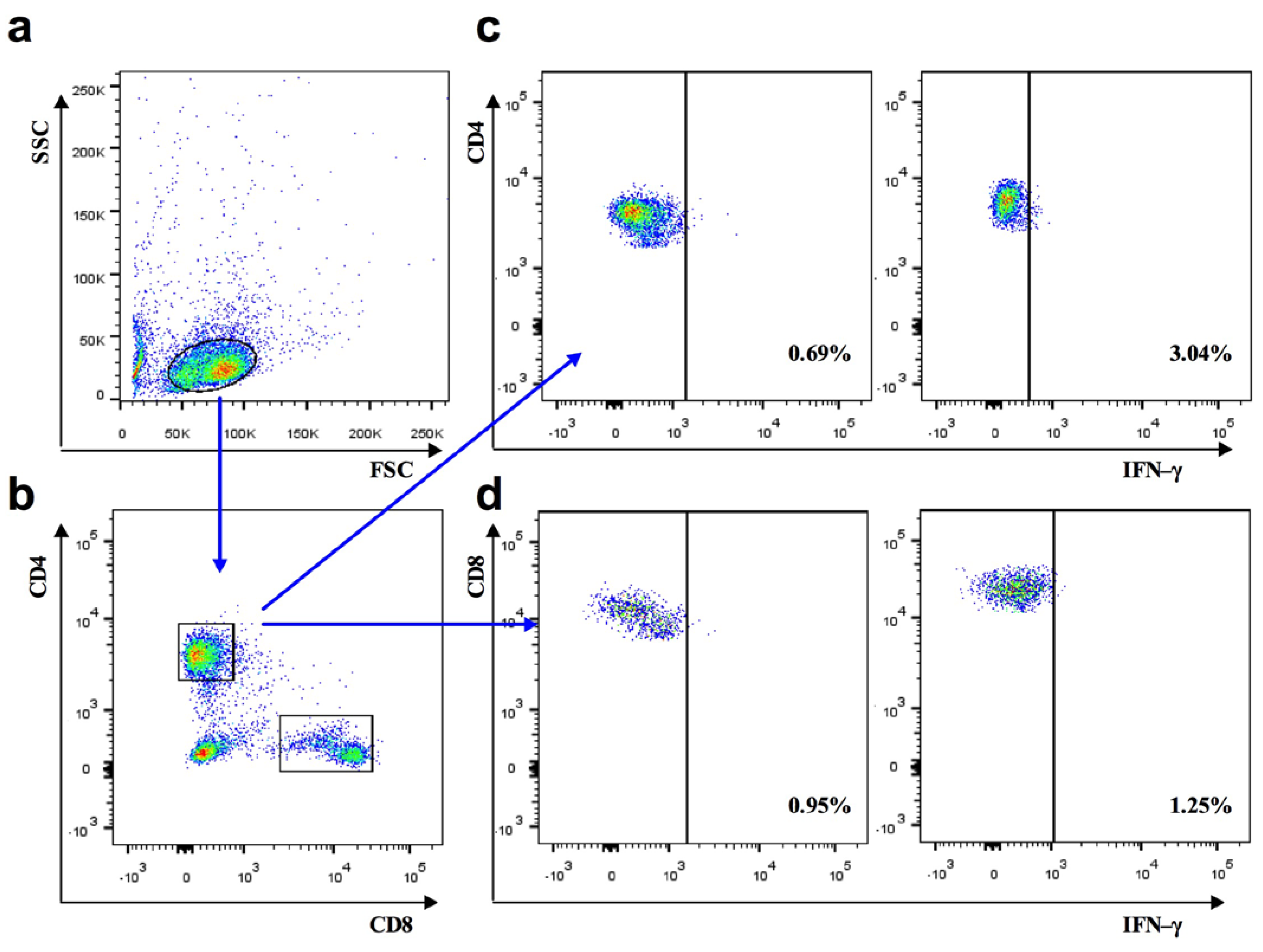Vaccines 10 00306 sch001