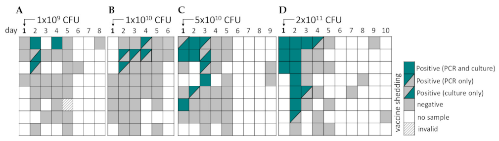 Vaccines 10 00340 g002