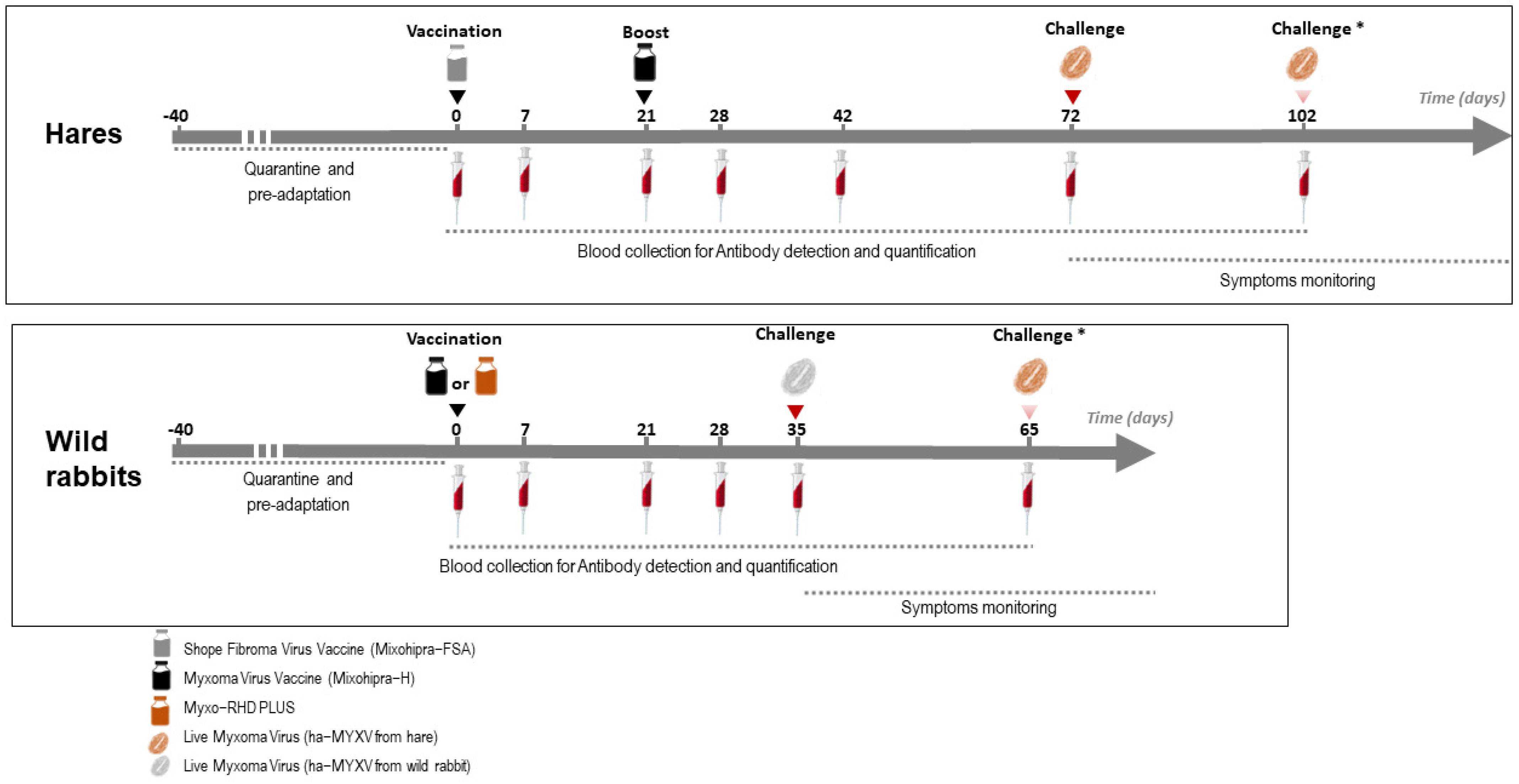 Vaccines 10 00356 g001