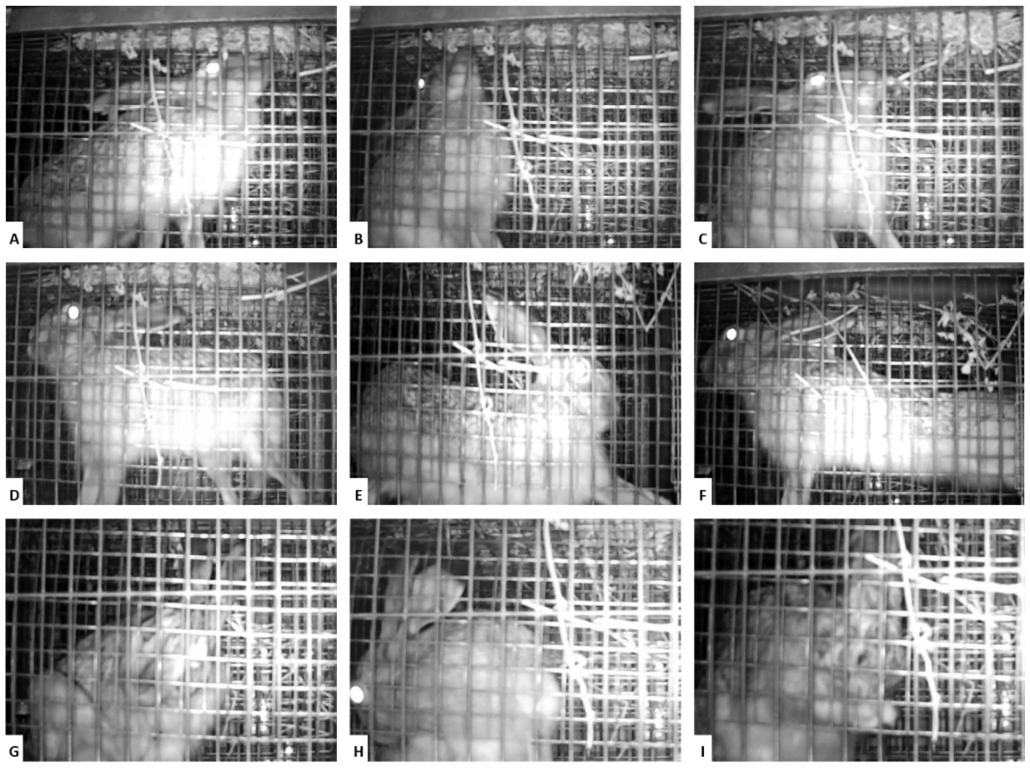 Vaccines 10 00356 g002