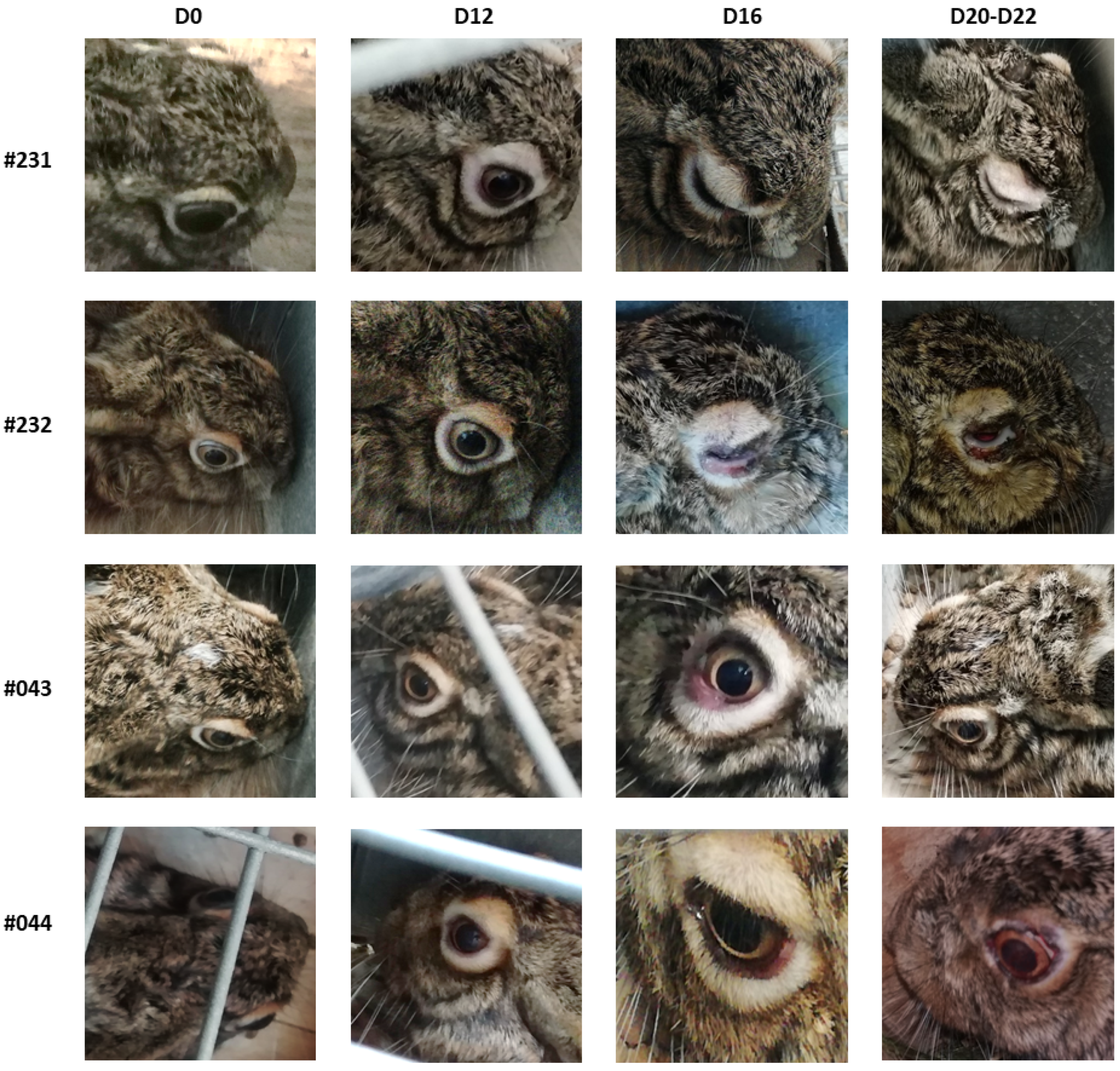 Vaccines 10 00356 g003