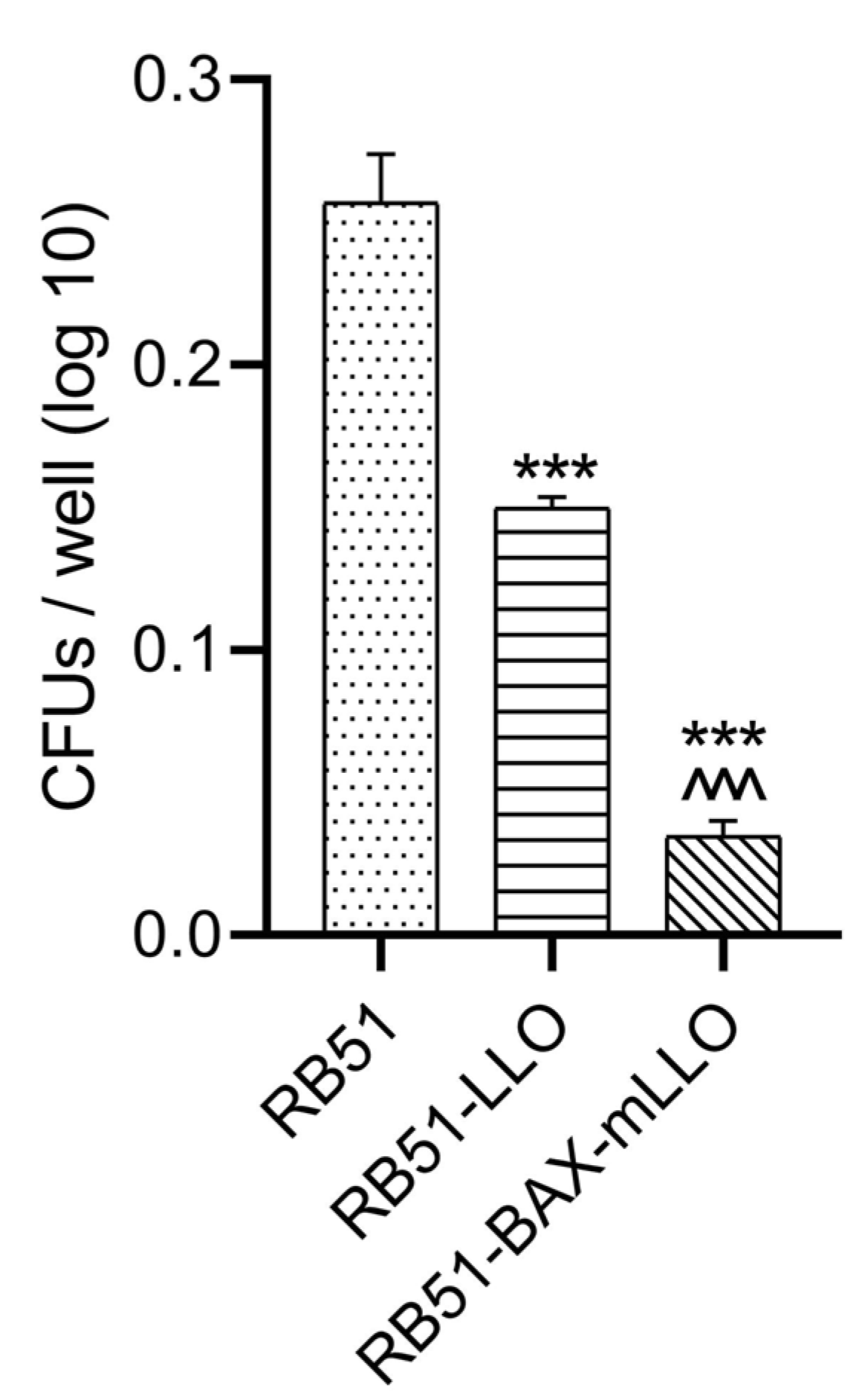 Vaccines 10 00388 g002