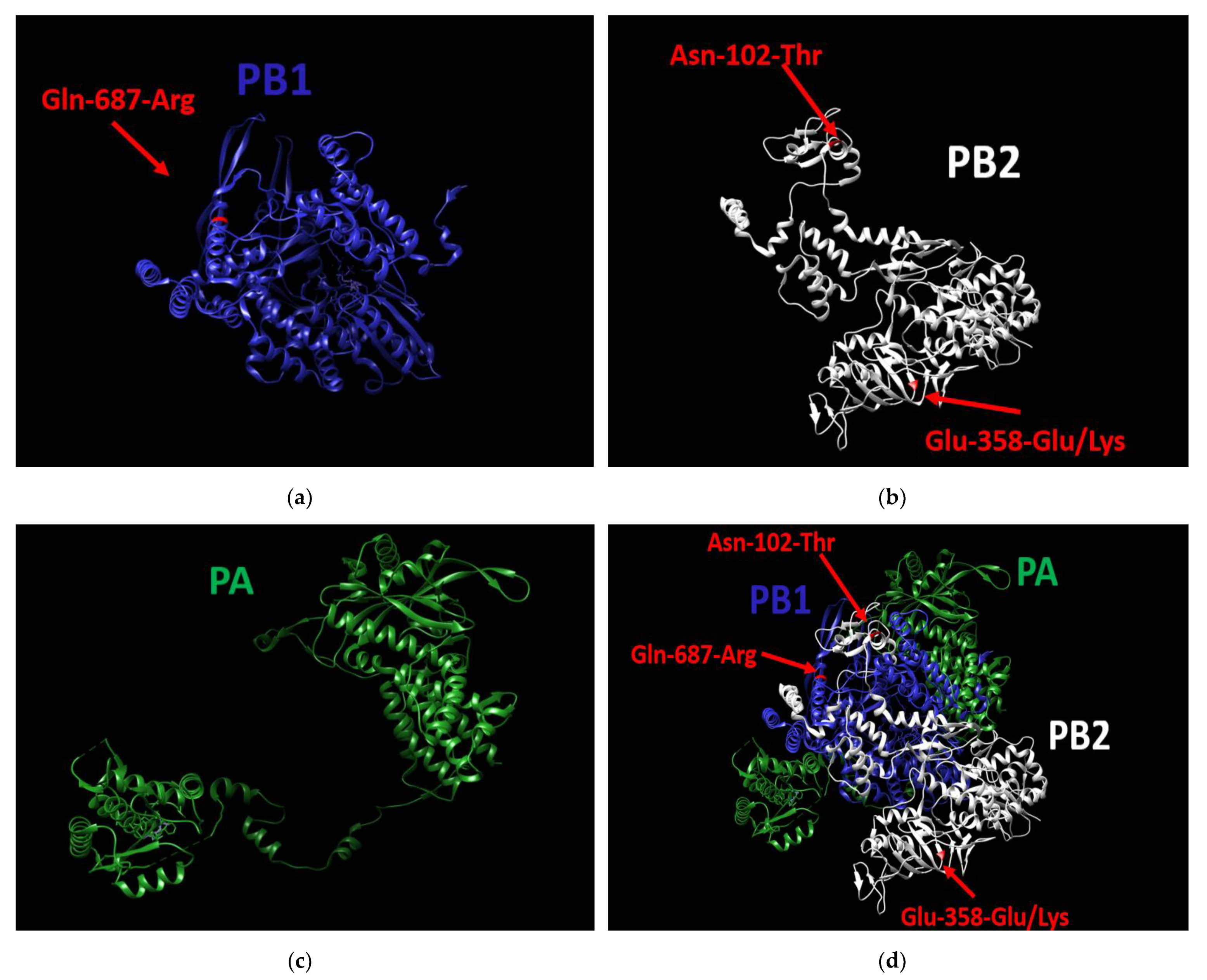 Vaccines 10 00395 g005